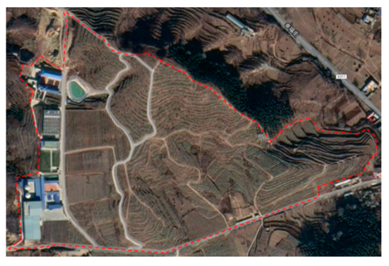 Agronomy 15 00323 g010