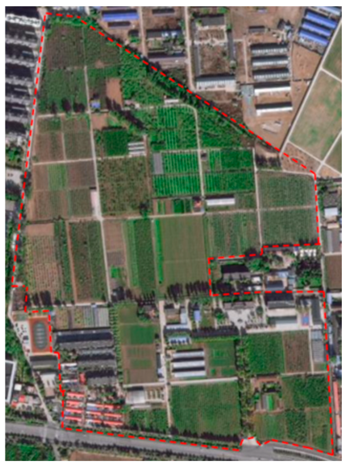 Agronomy 15 00323 g011