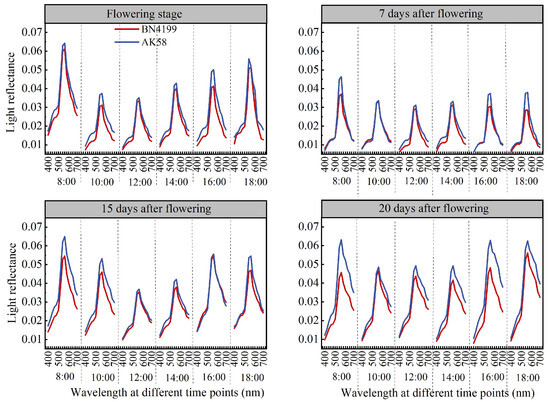 Synergistic Ability and Effect of Leaf Color and Leaf Thickness to