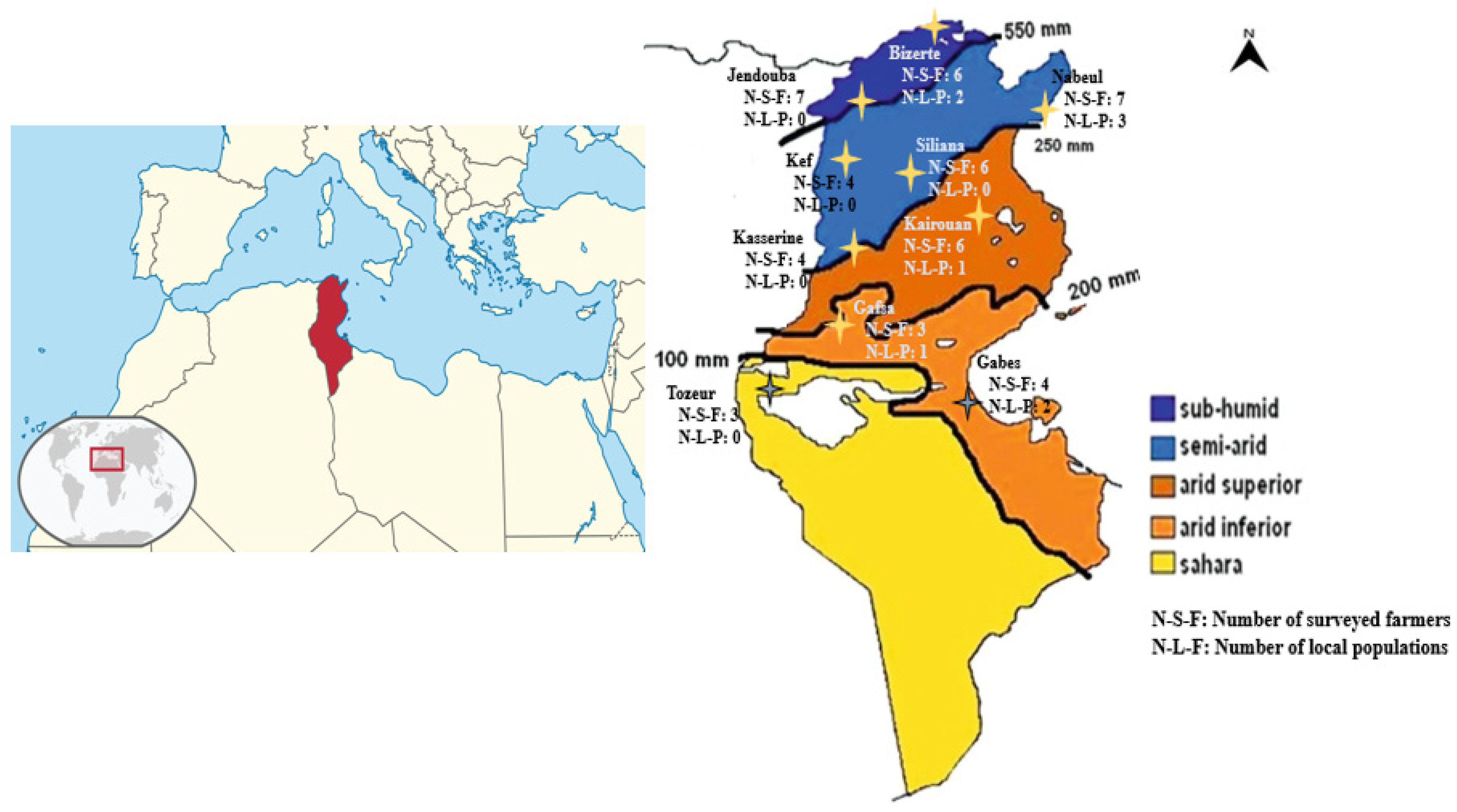 Agronomy 15 00331 g001