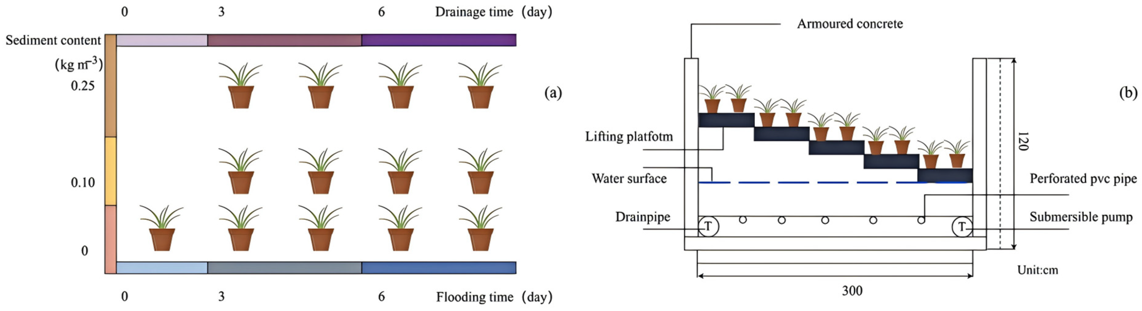 Agronomy 15 00334 g002