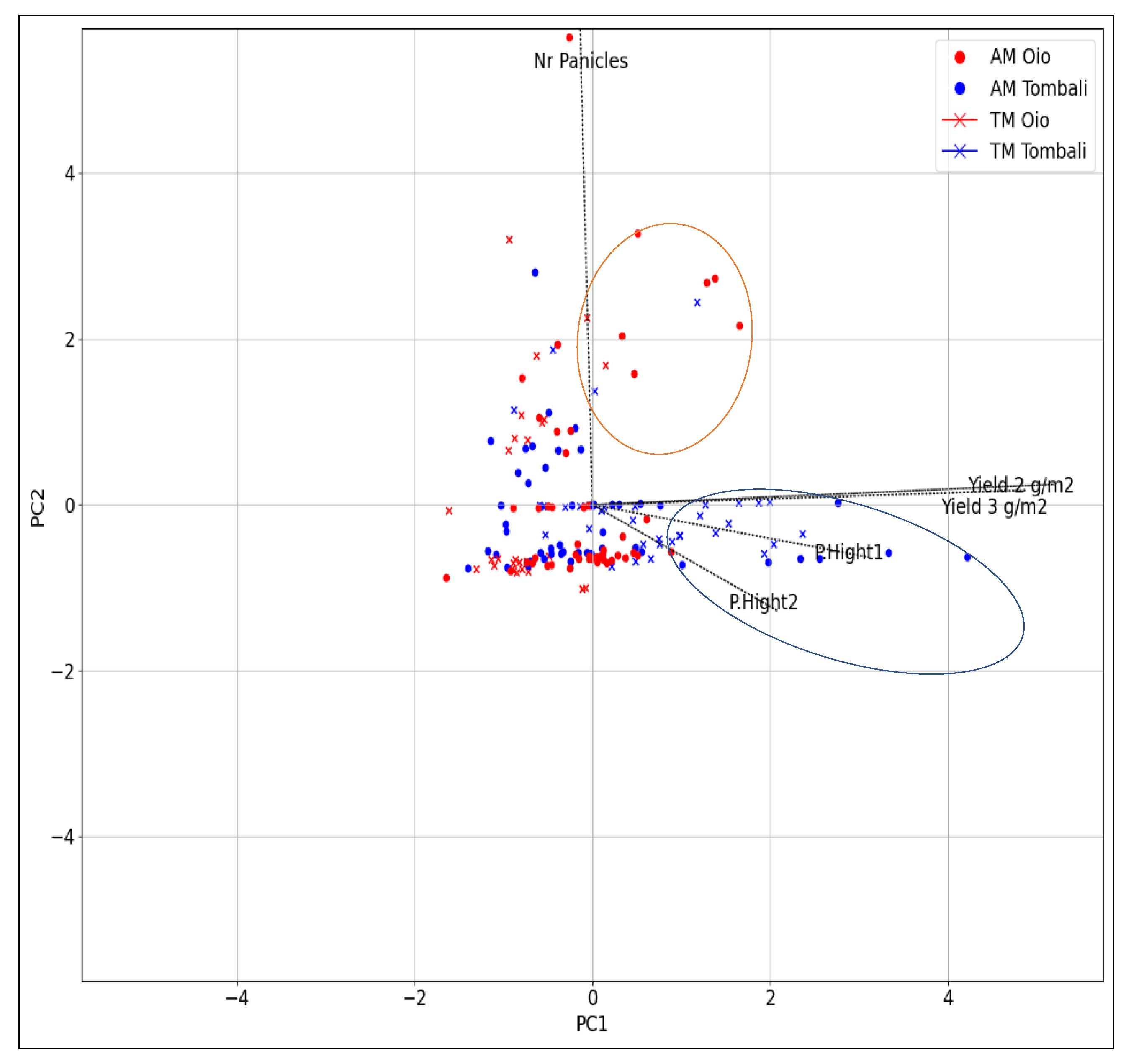 Agronomy 15 00342 g004 Agronomy 15 00342 g004