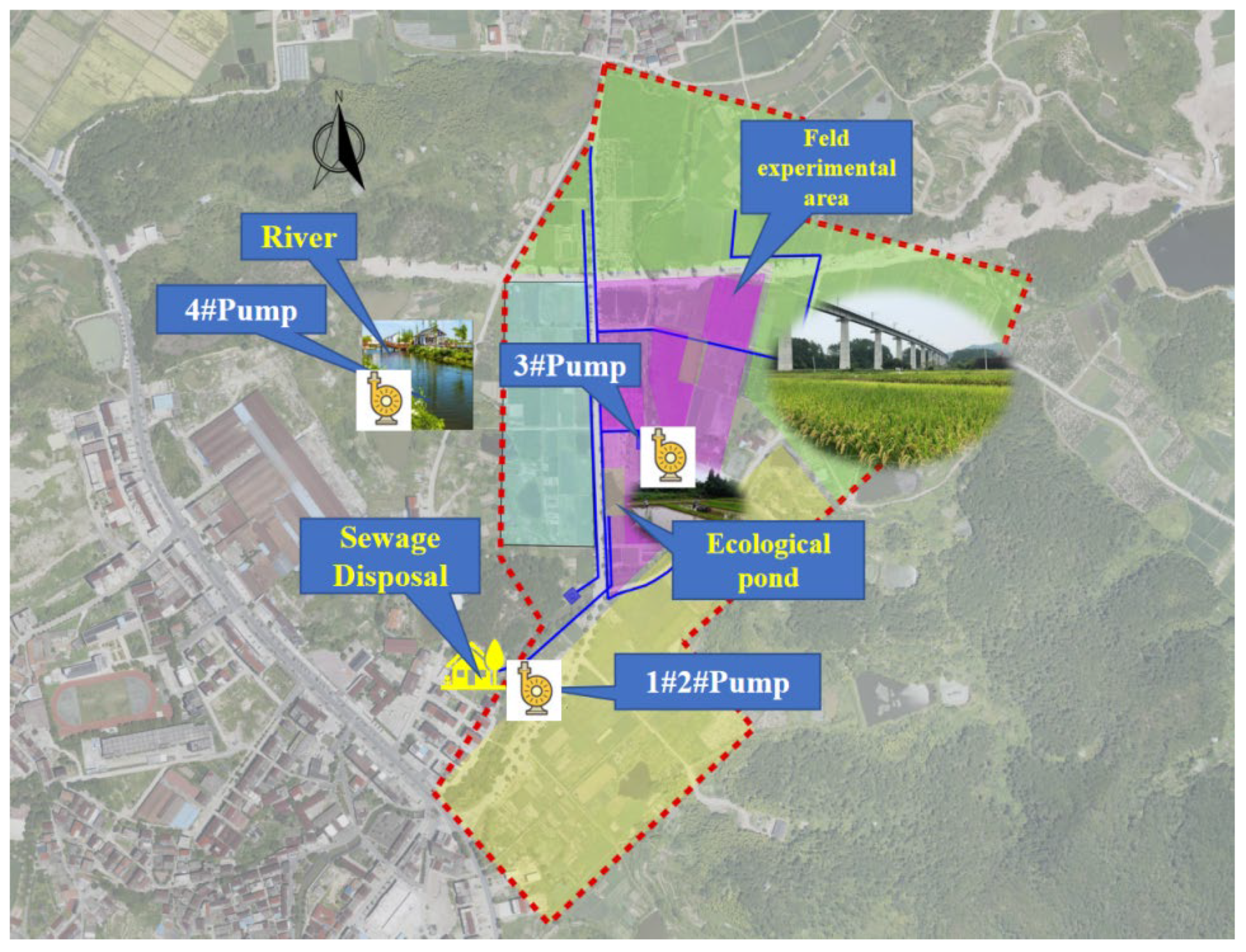 Agronomy 15 00343 g001