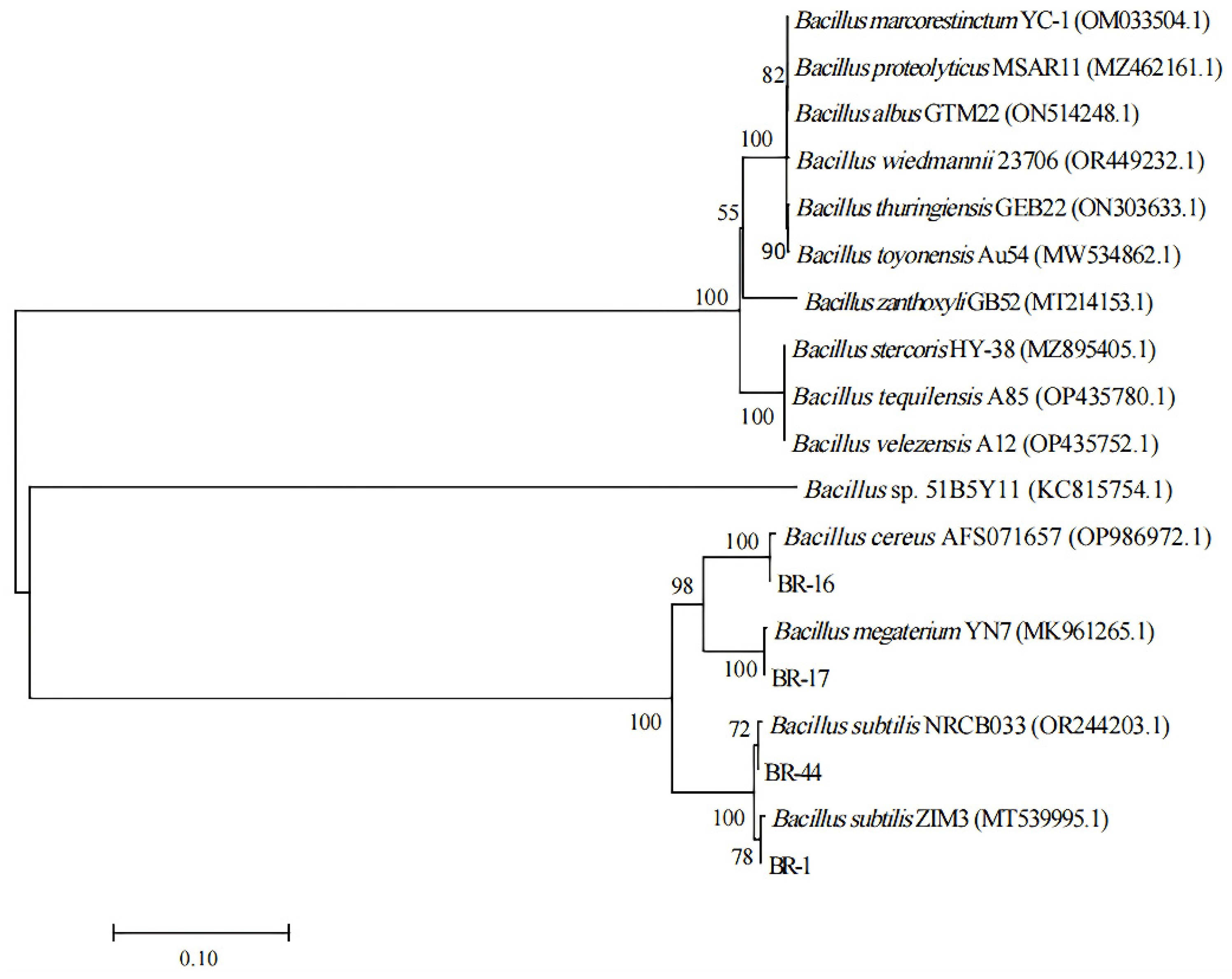 Agronomy 15 00350 g003