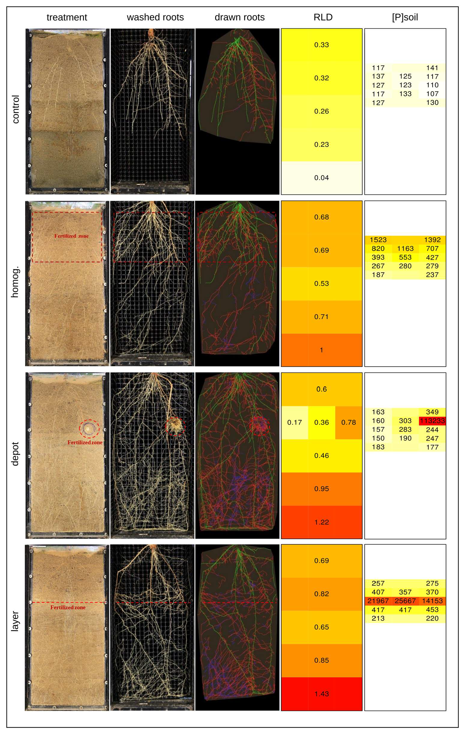 Agronomy 15 00353 g002