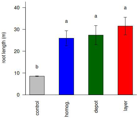 Agronomy 15 00353 g003
