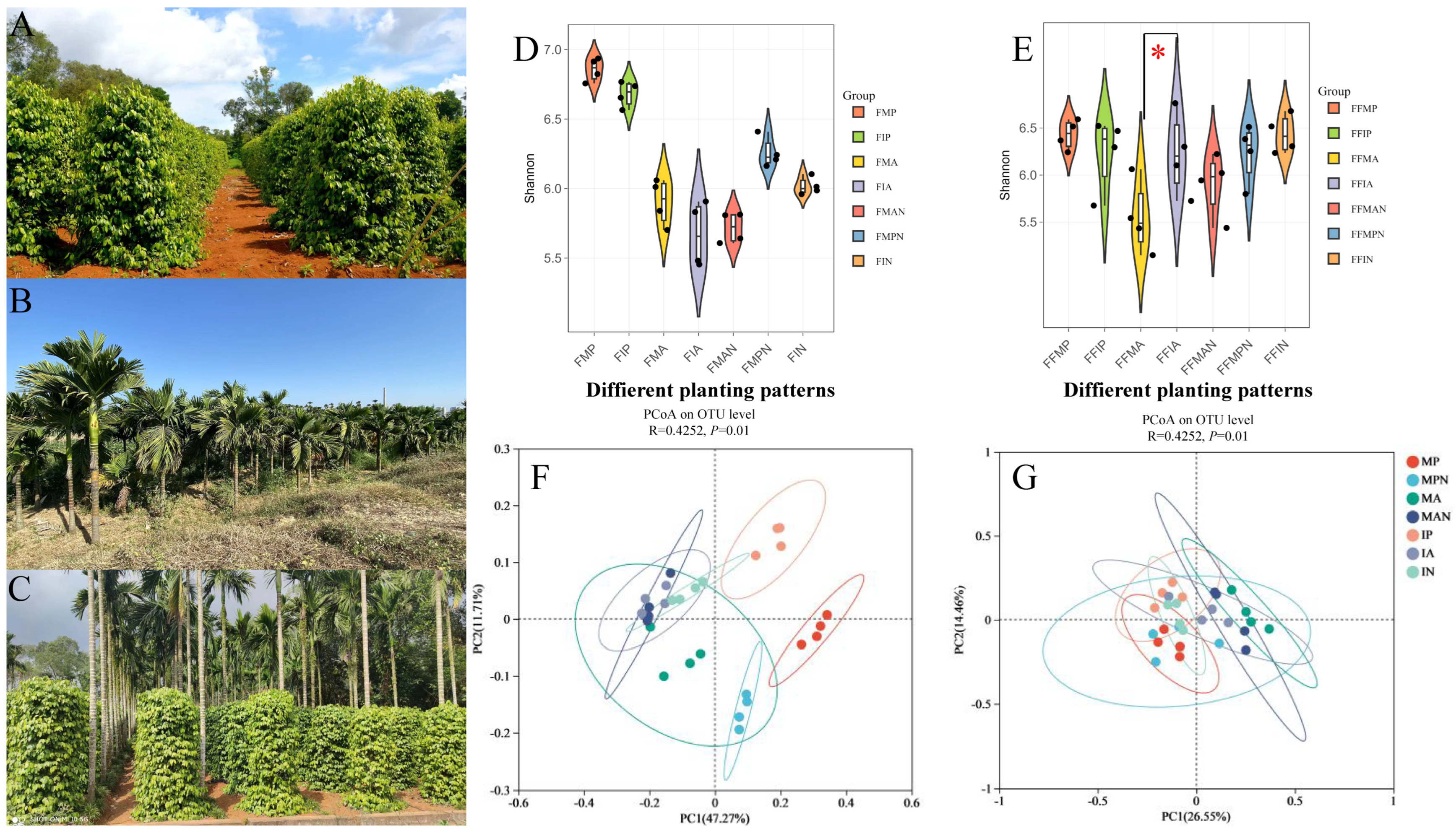 Agronomy 15 00355 g001