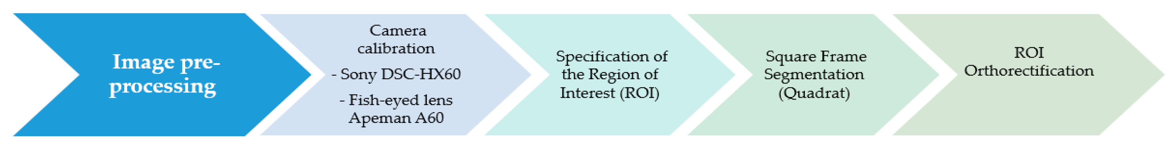 Agronomy 15 00356 g002