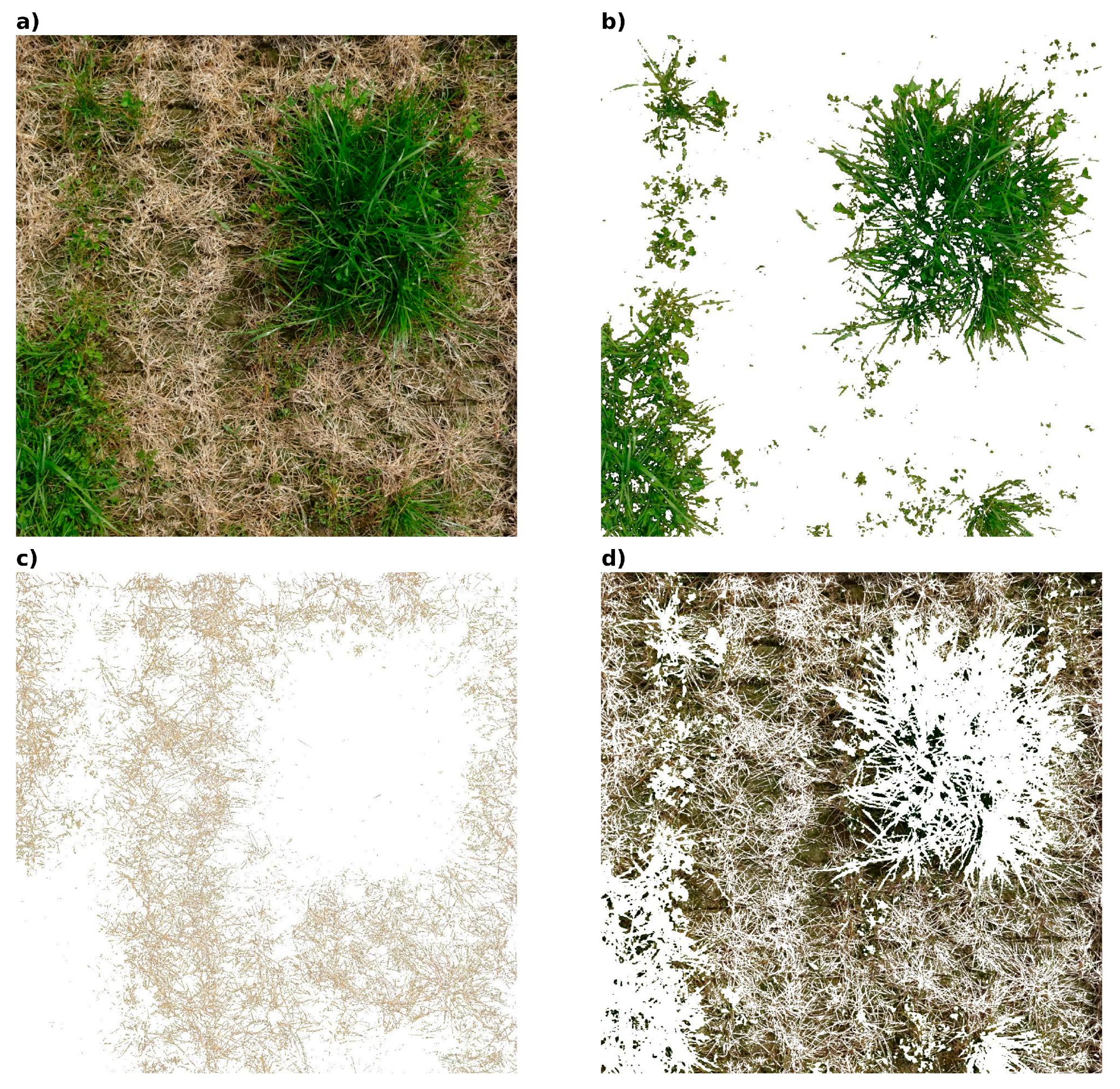 Agronomy 15 00356 g007