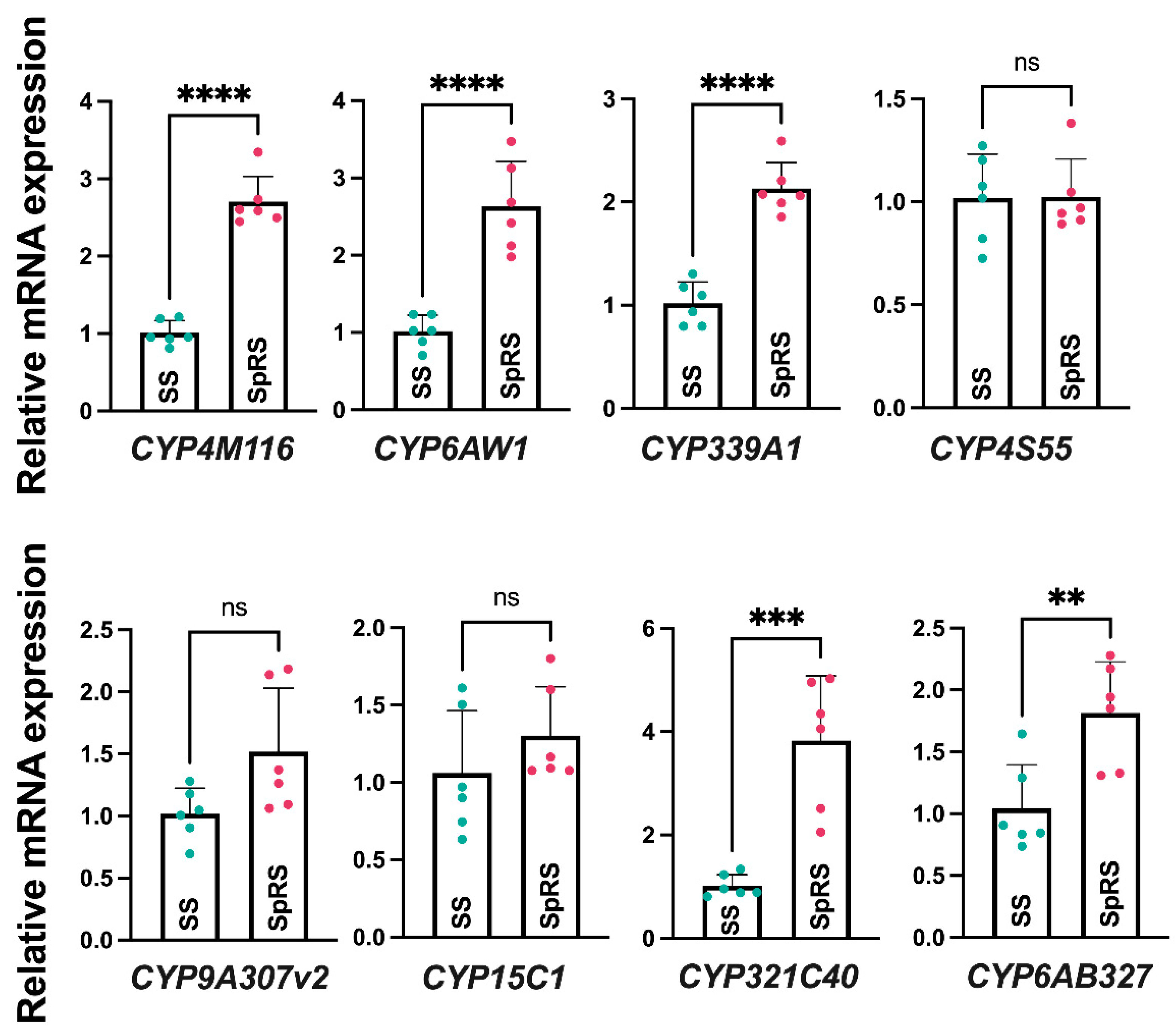 Agronomy 15 00358 g004