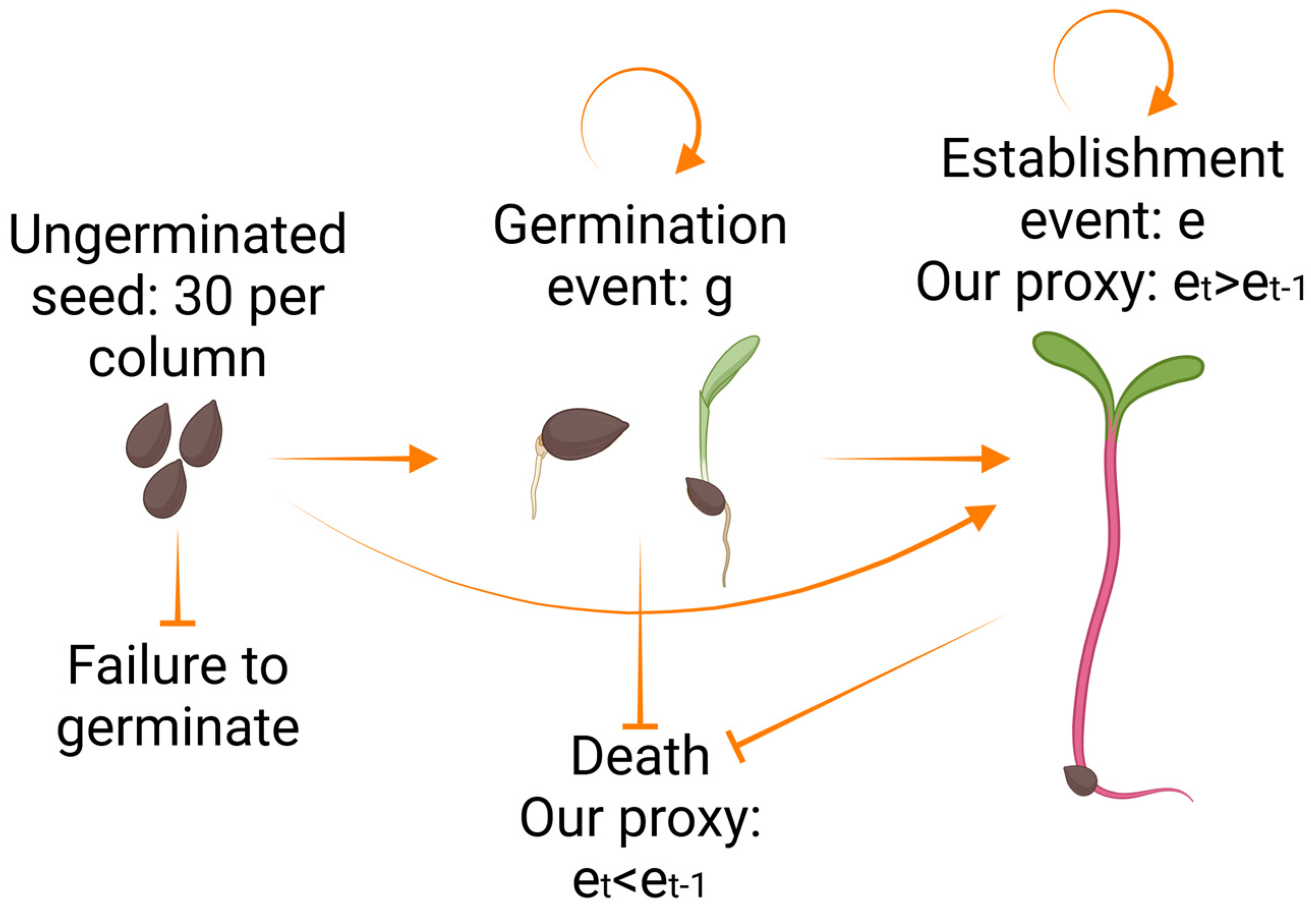 Agronomy 15 00360 g001