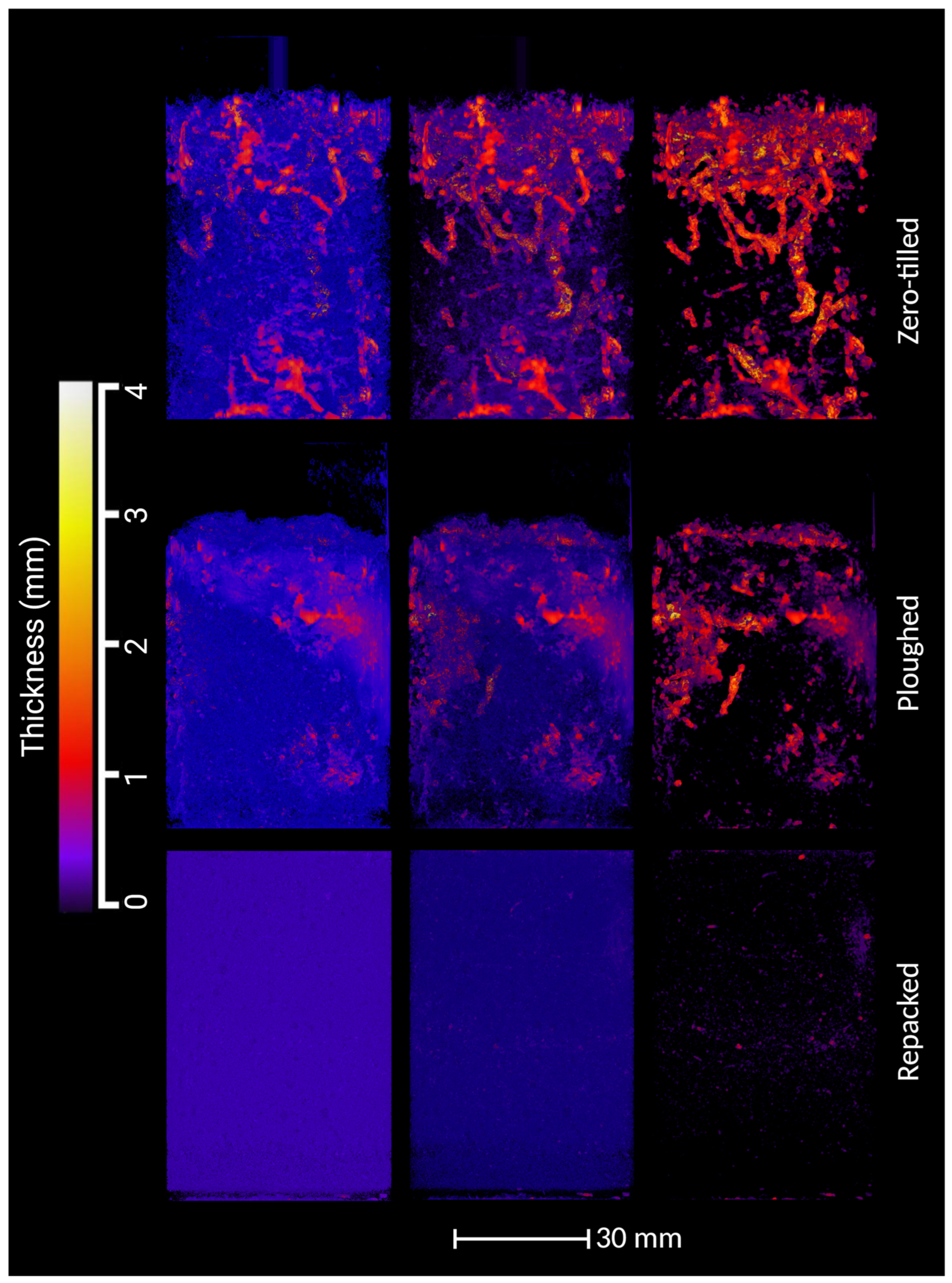 Agronomy 15 00360 g002