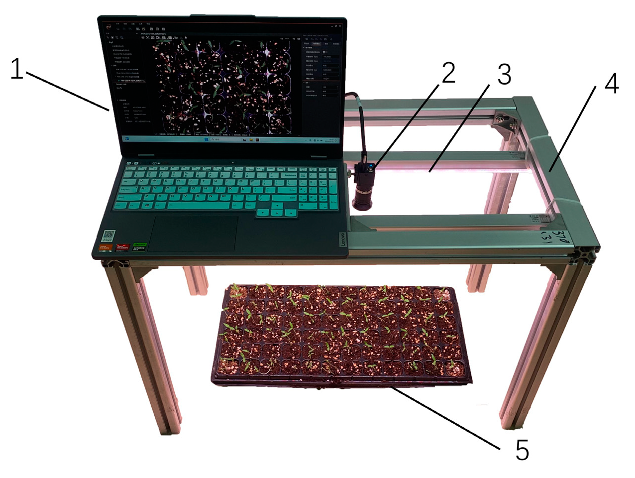 Agronomy 15 00375 g001