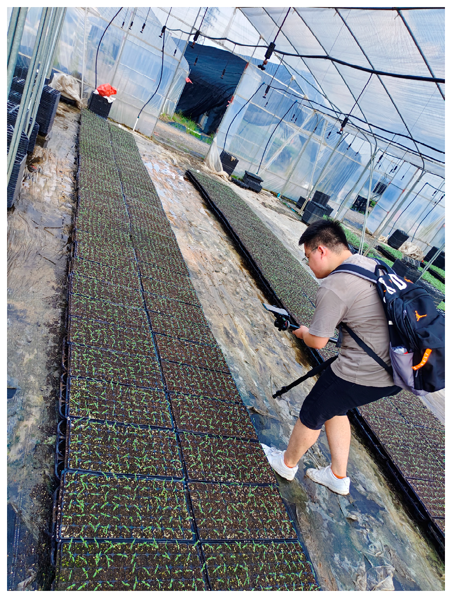 Agronomy 15 00375 g003