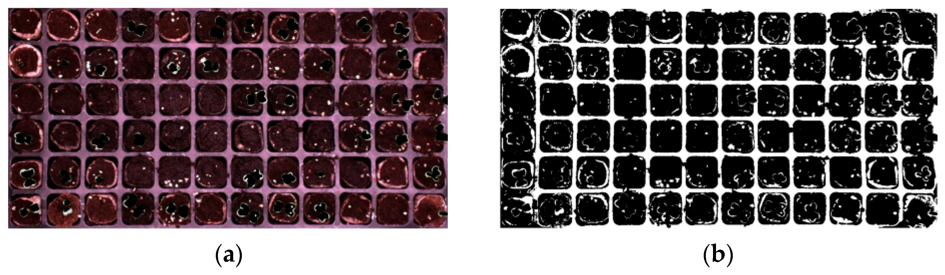 Agronomy 15 00375 g006