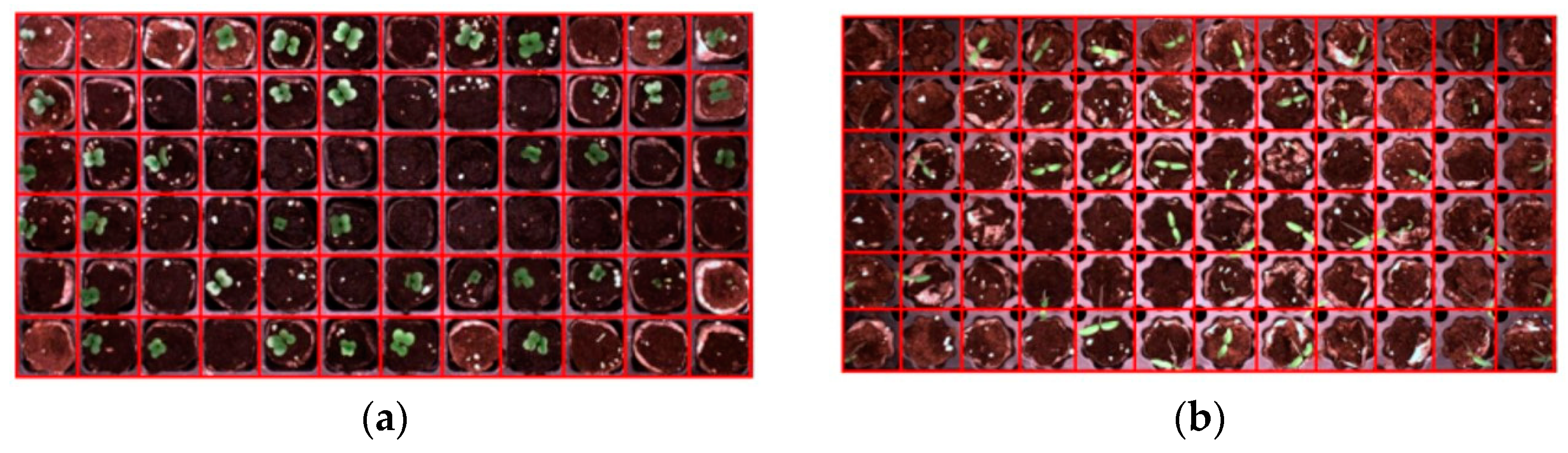 Agronomy 15 00375 g008