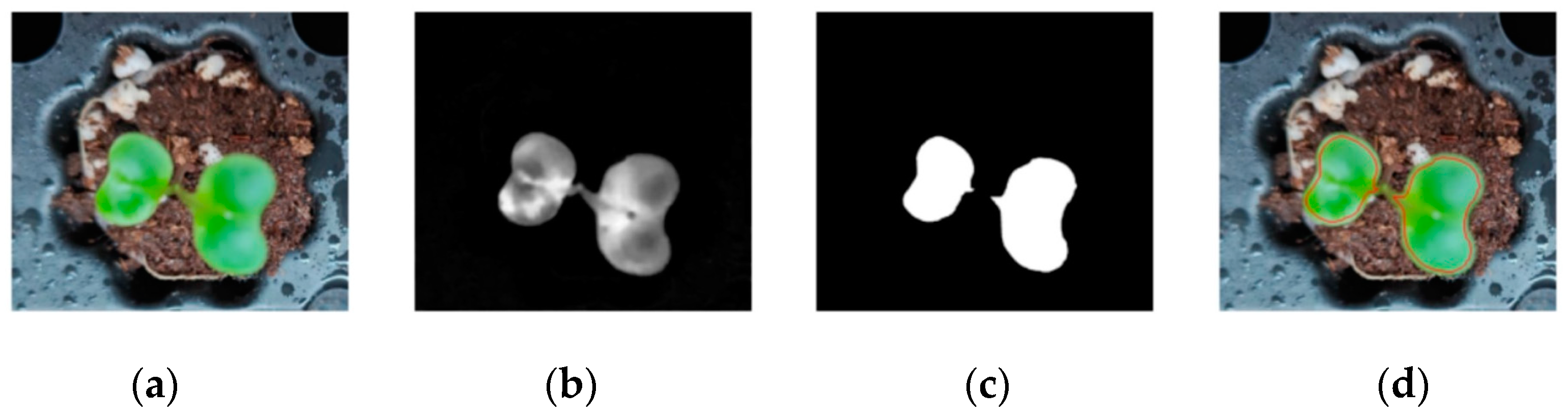 Agronomy 15 00375 g009
