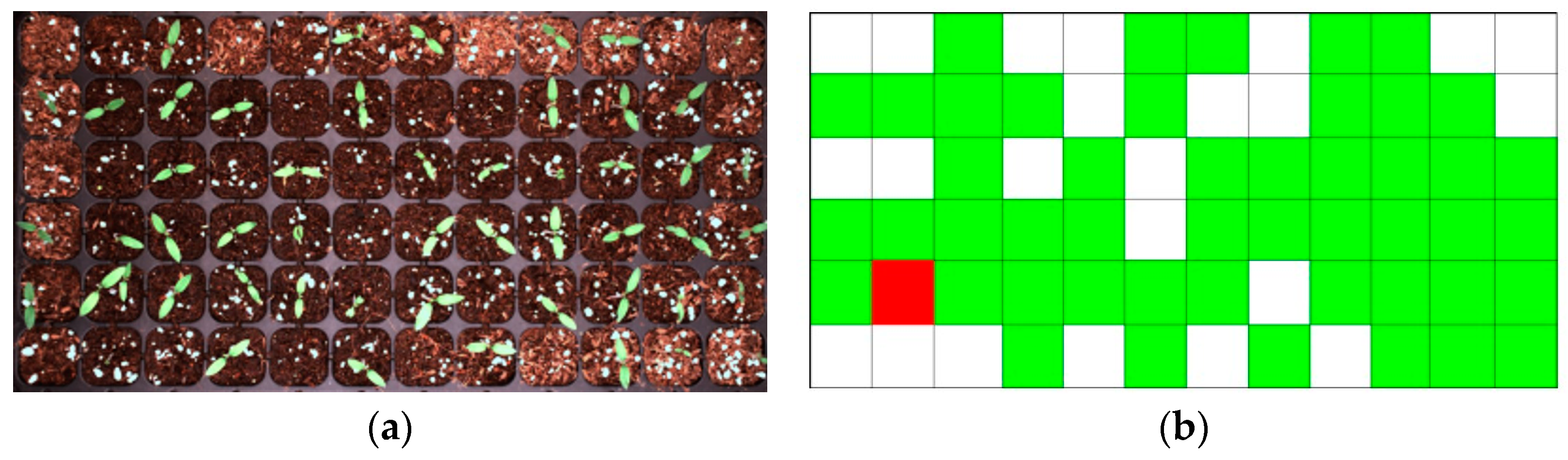 Agronomy 15 00375 g010