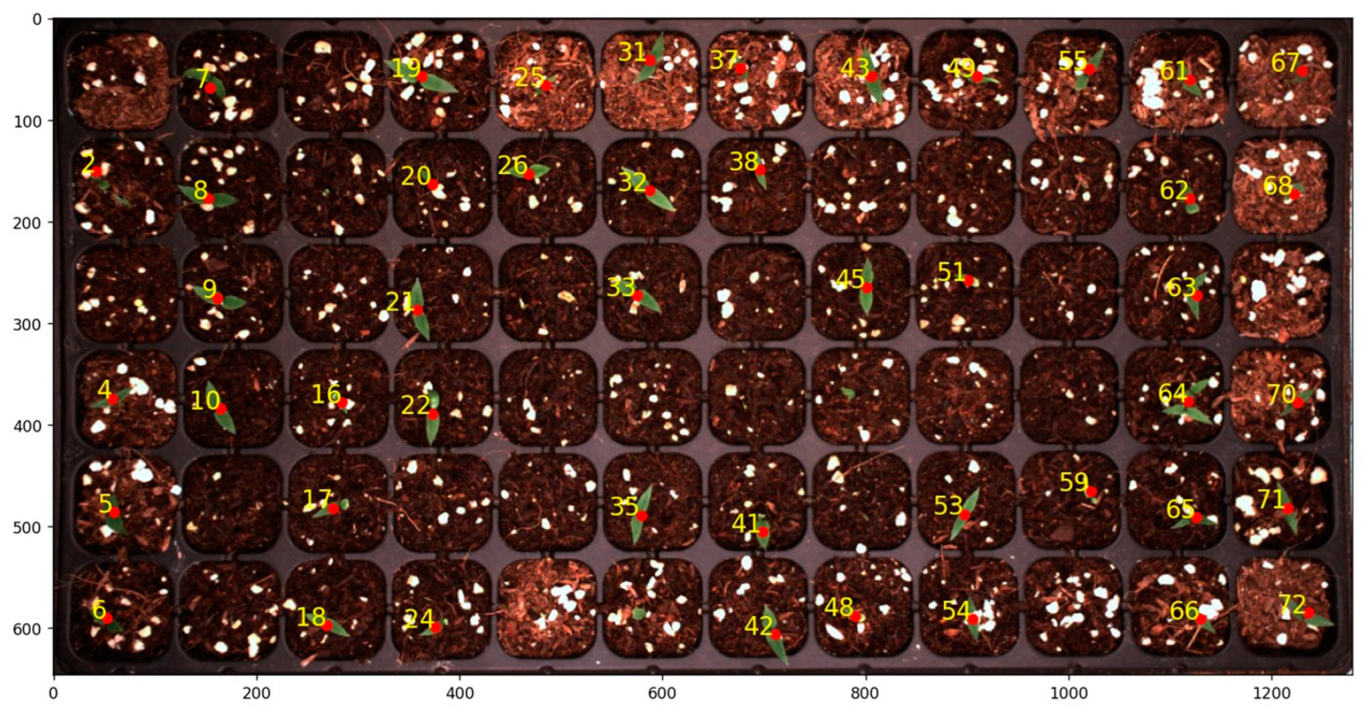Agronomy 15 00375 g011