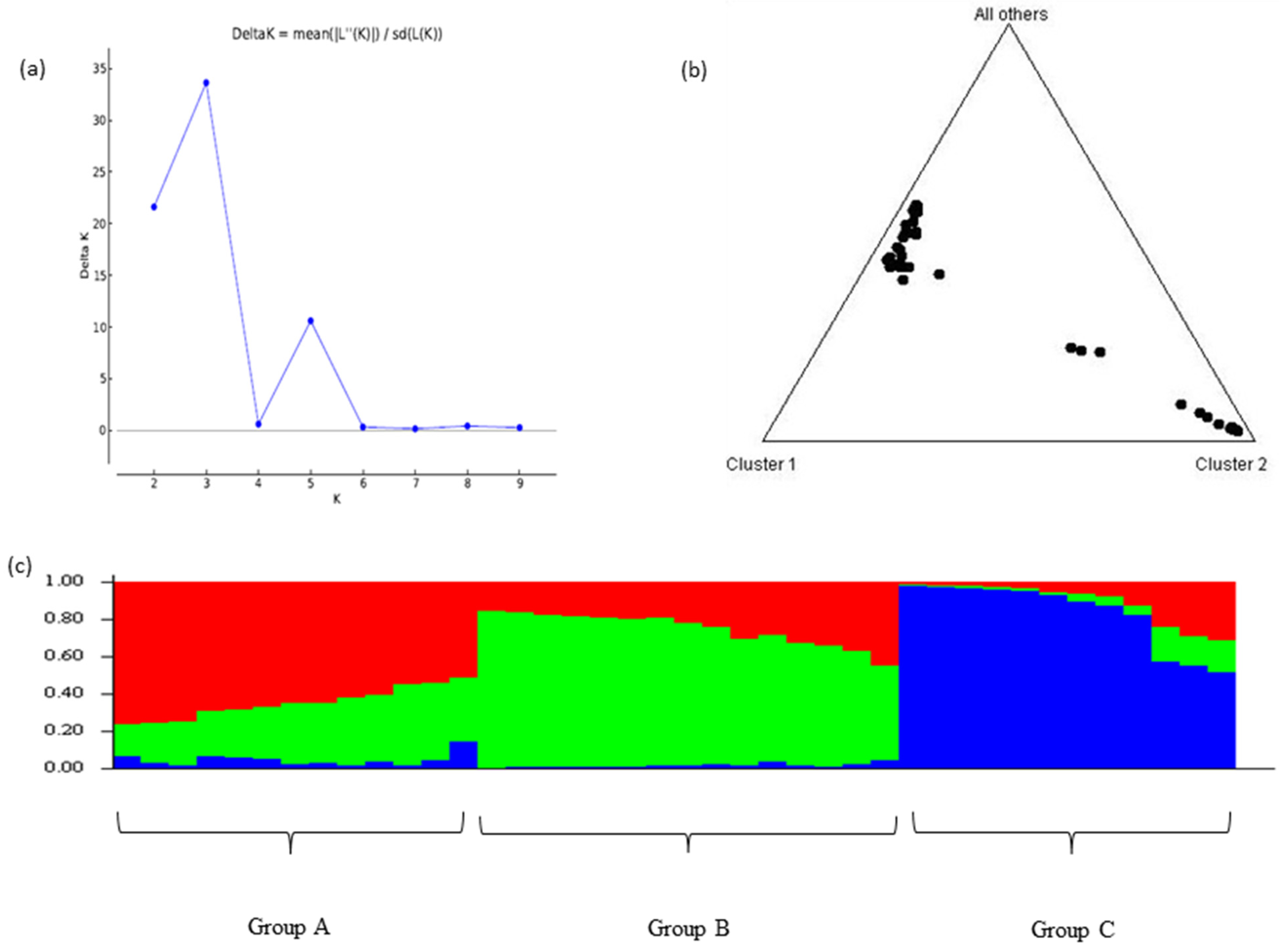 Agronomy 15 00376 g004
