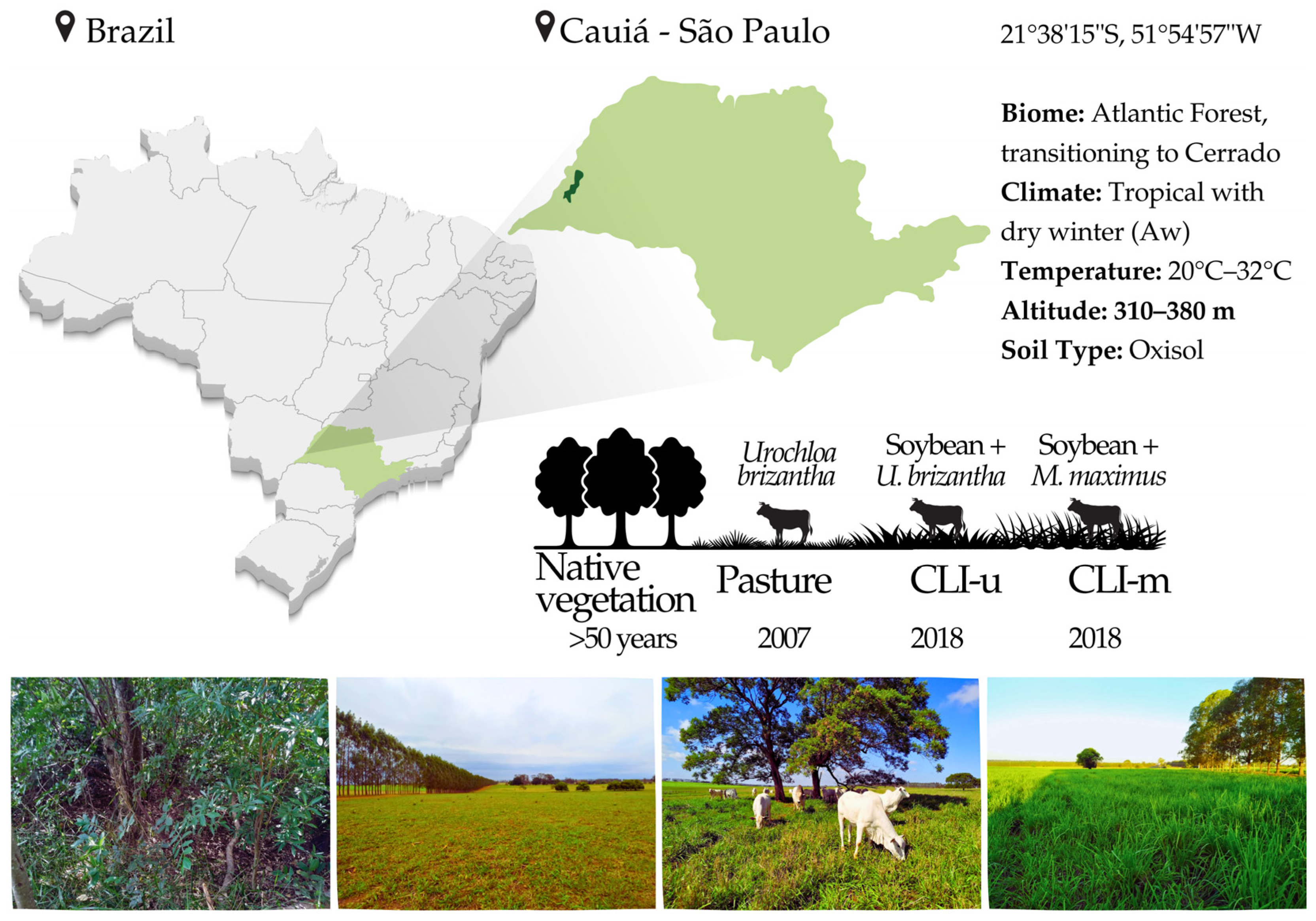 Agronomy 15 00378 g001