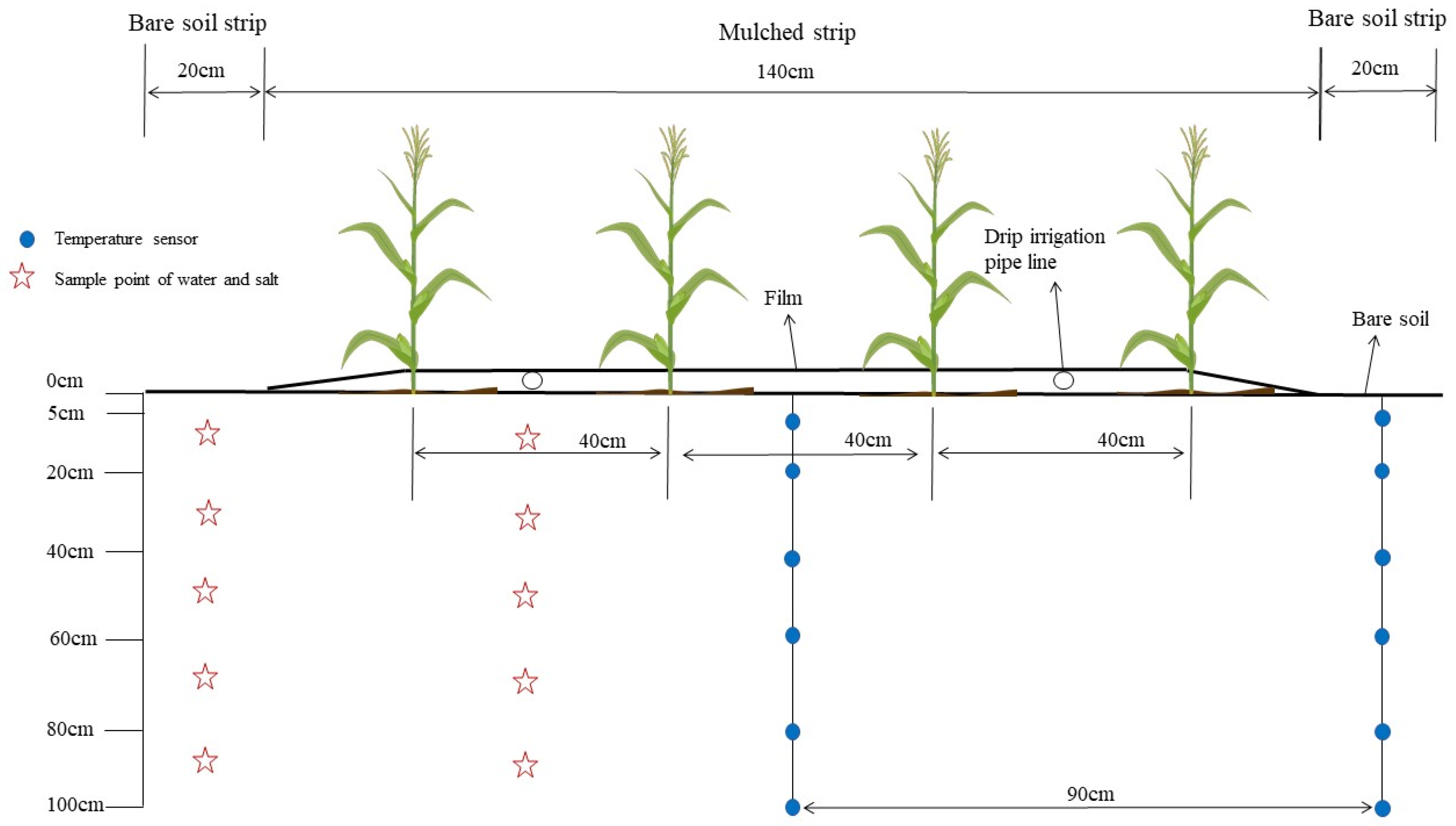Agronomy 15 00379 g002