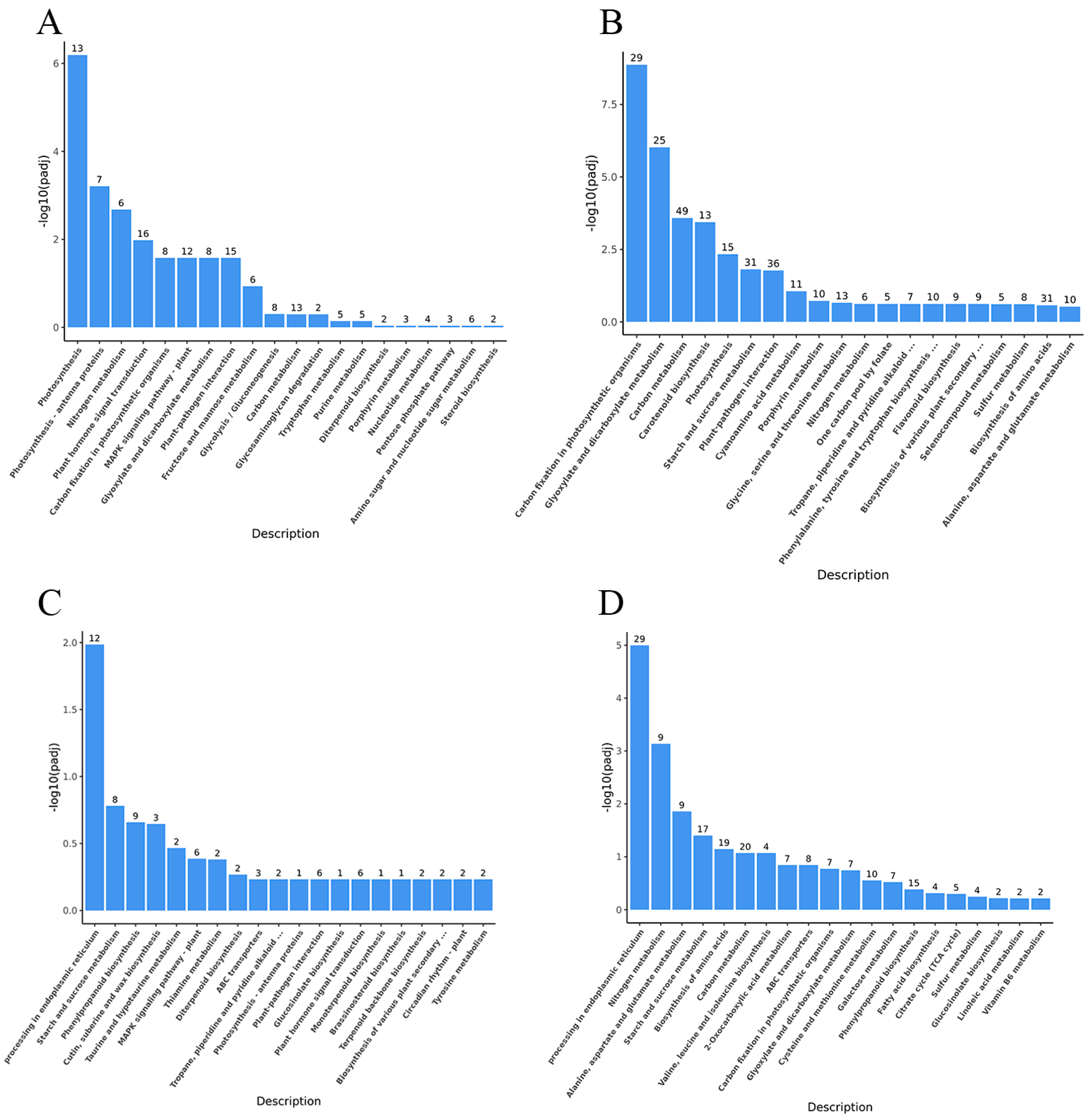 Agronomy 15 00380 g004
