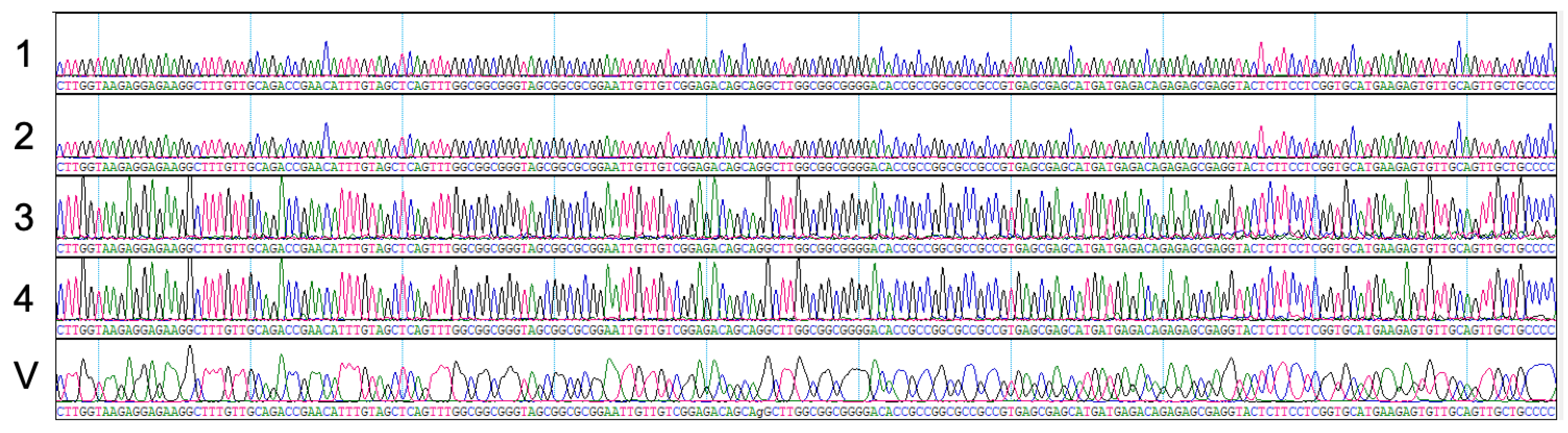Agronomy 15 00384 g004