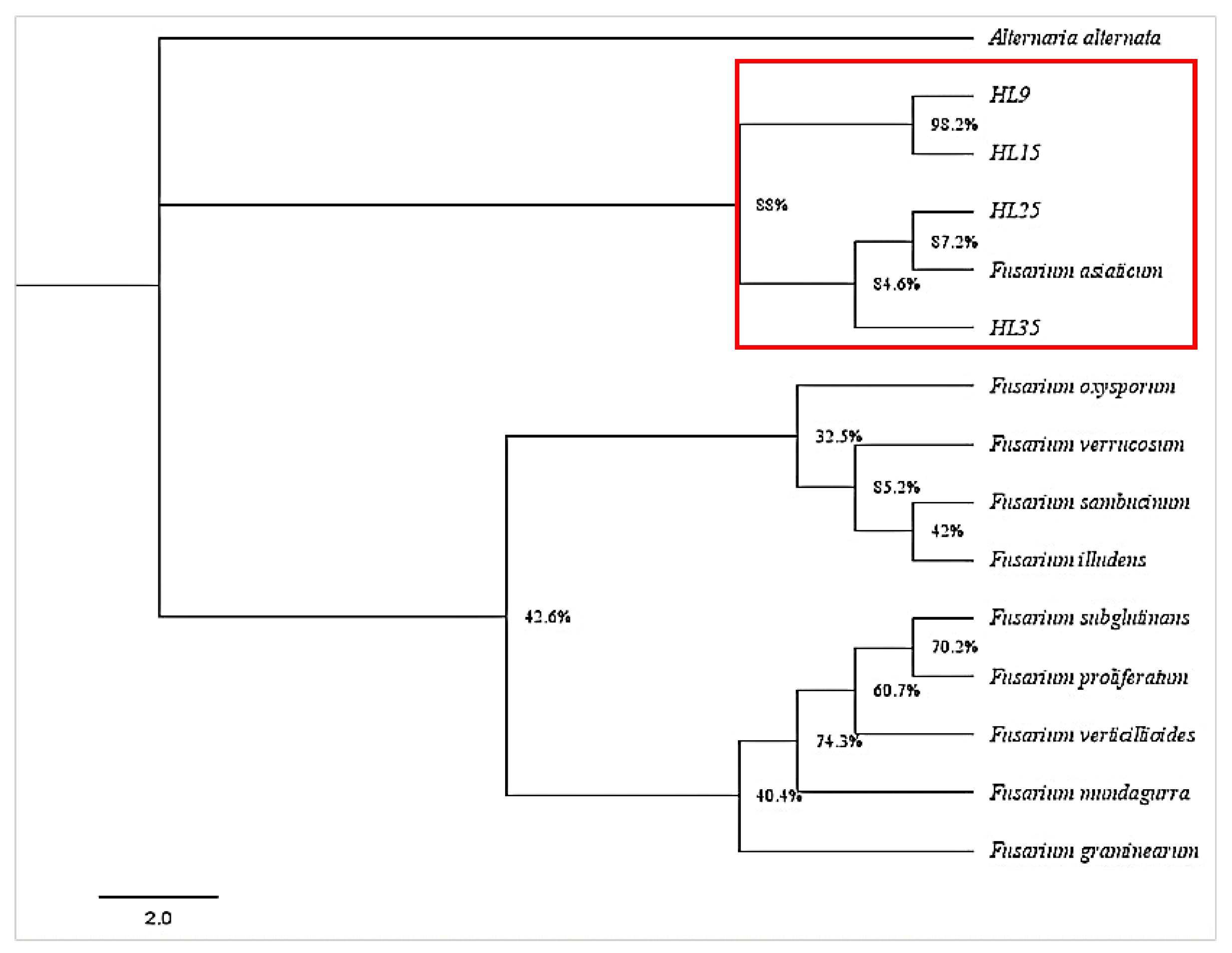 Agronomy 15 00388 g004 Agronomy 15 00388 g004