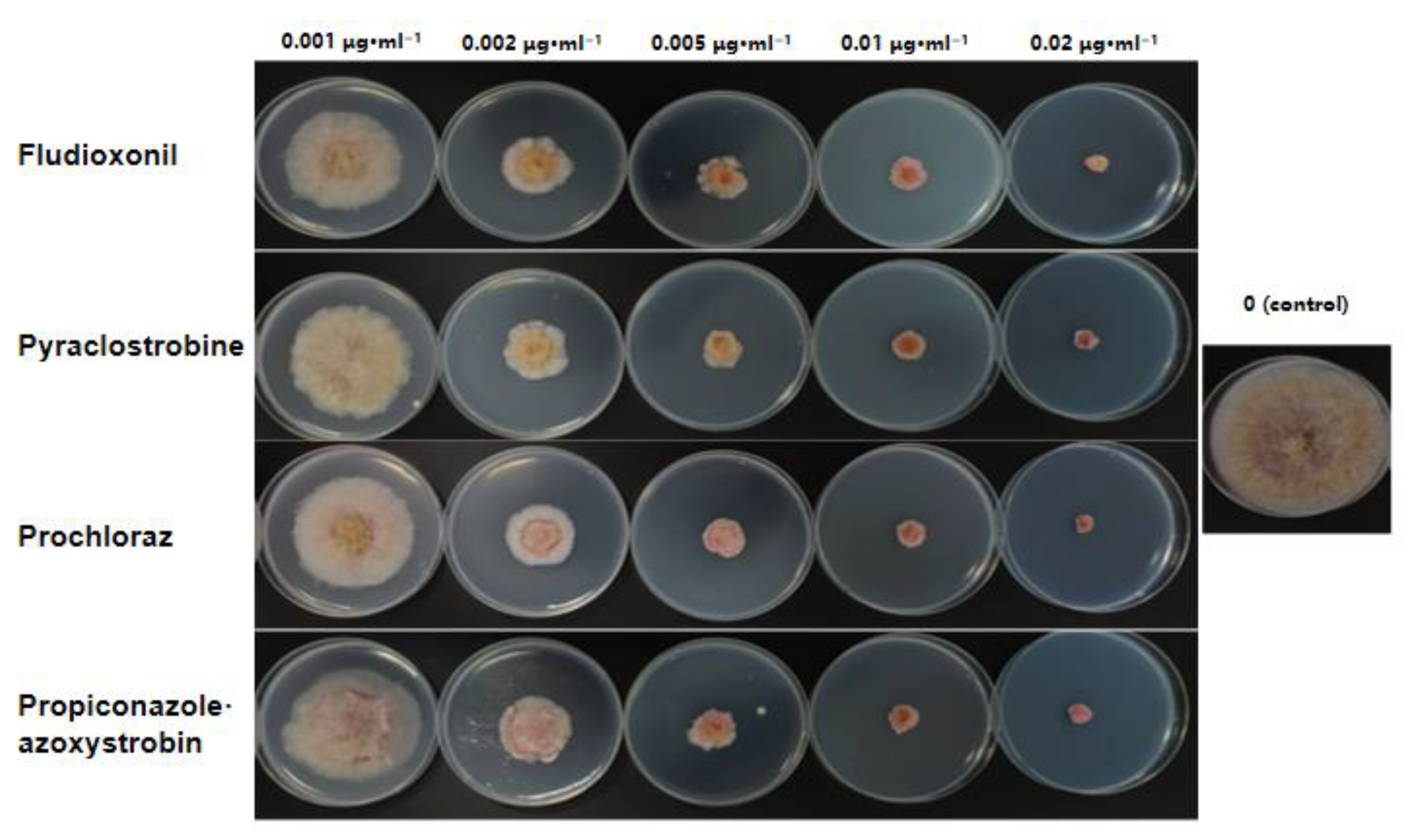 Agronomy 15 00388 g007 Agronomy 15 00388 g007