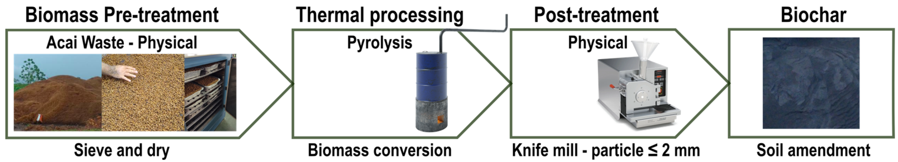 Agronomy 15 00393 g001