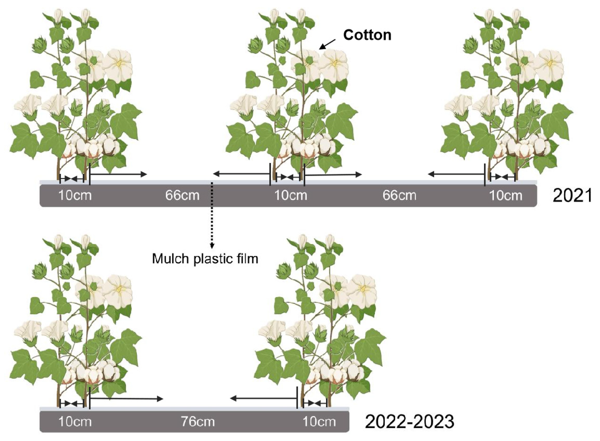 Agronomy 15 00394 g002