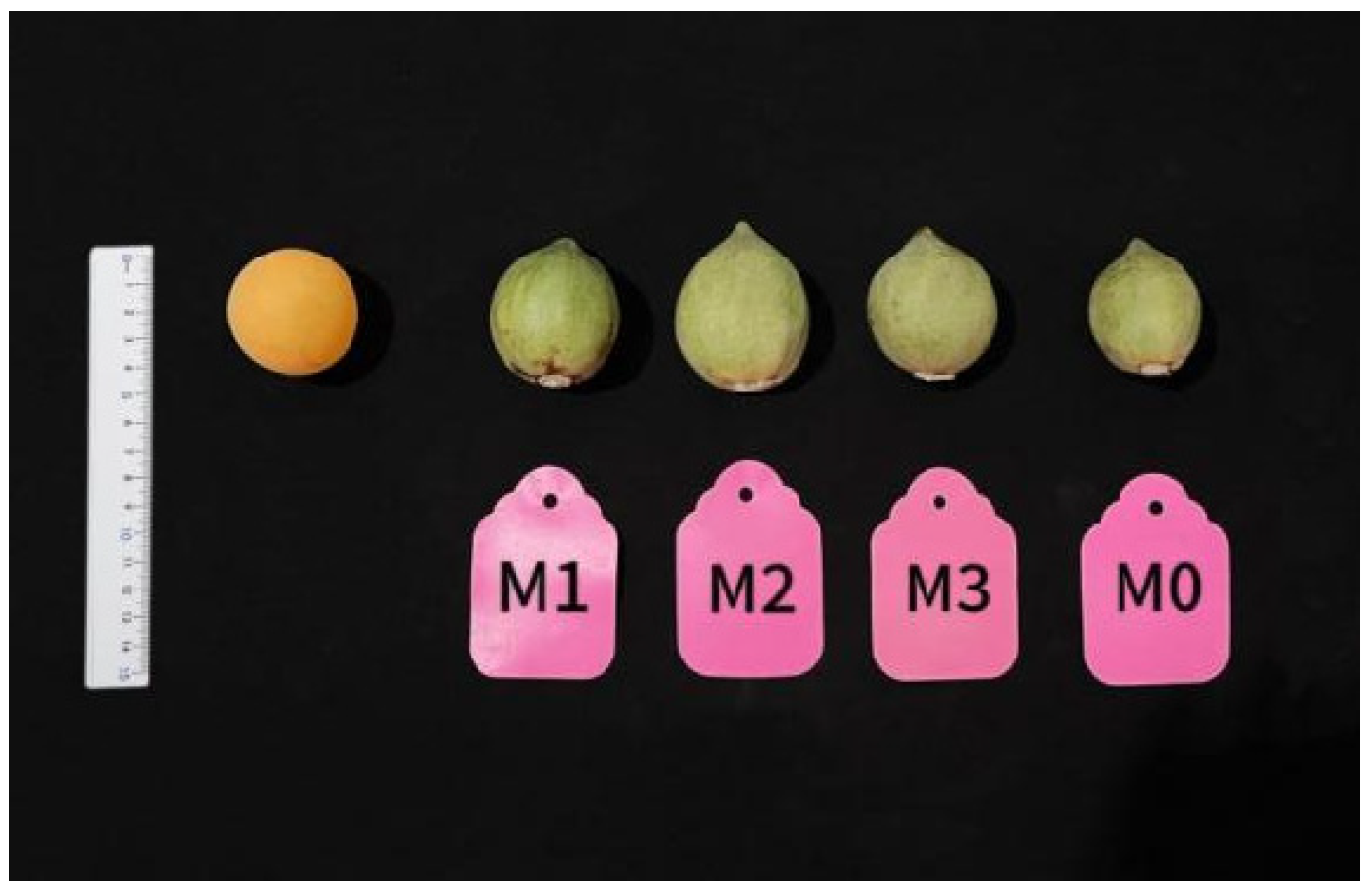 Agronomy 15 00394 g009