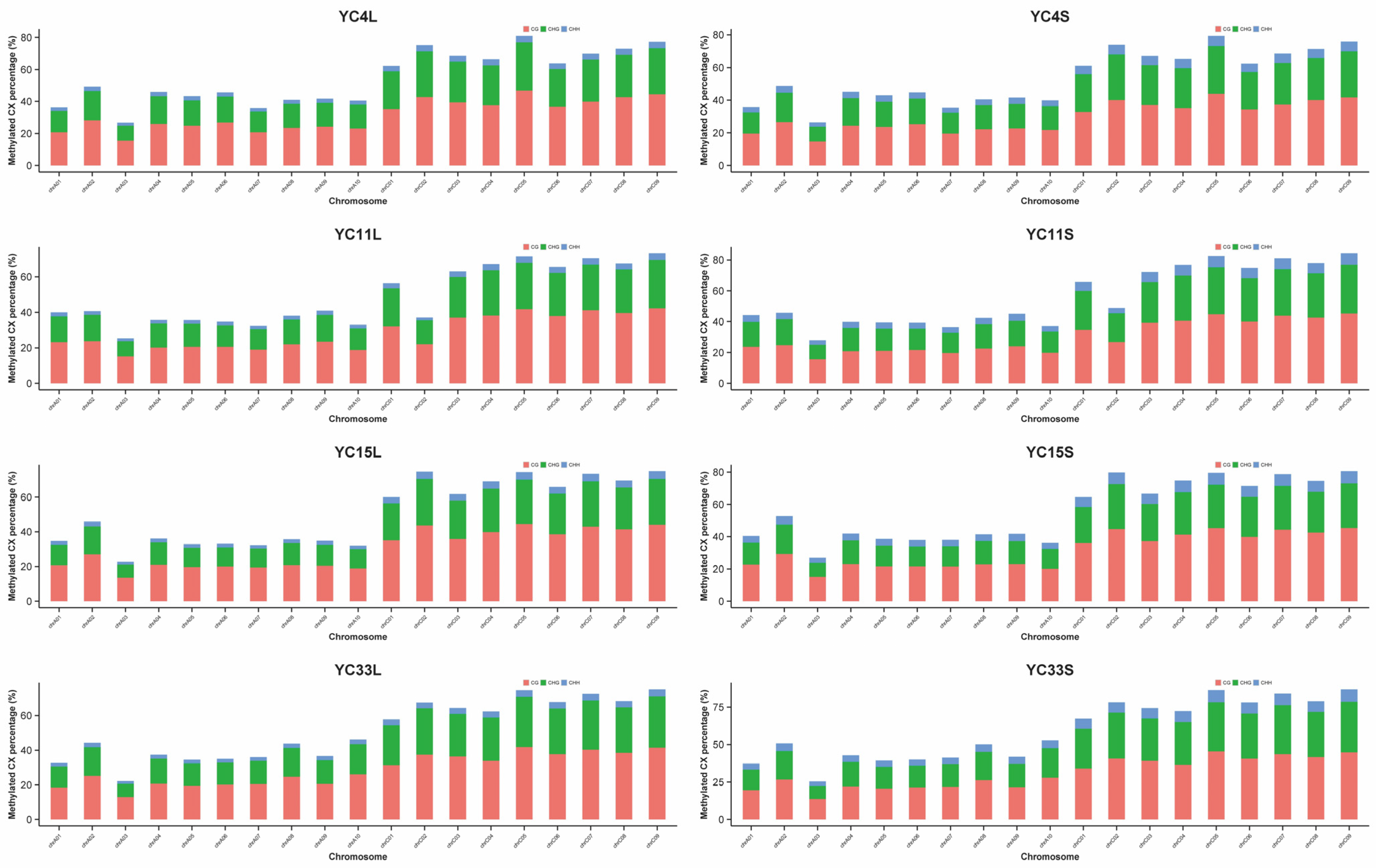 Agronomy 15 00398 g001