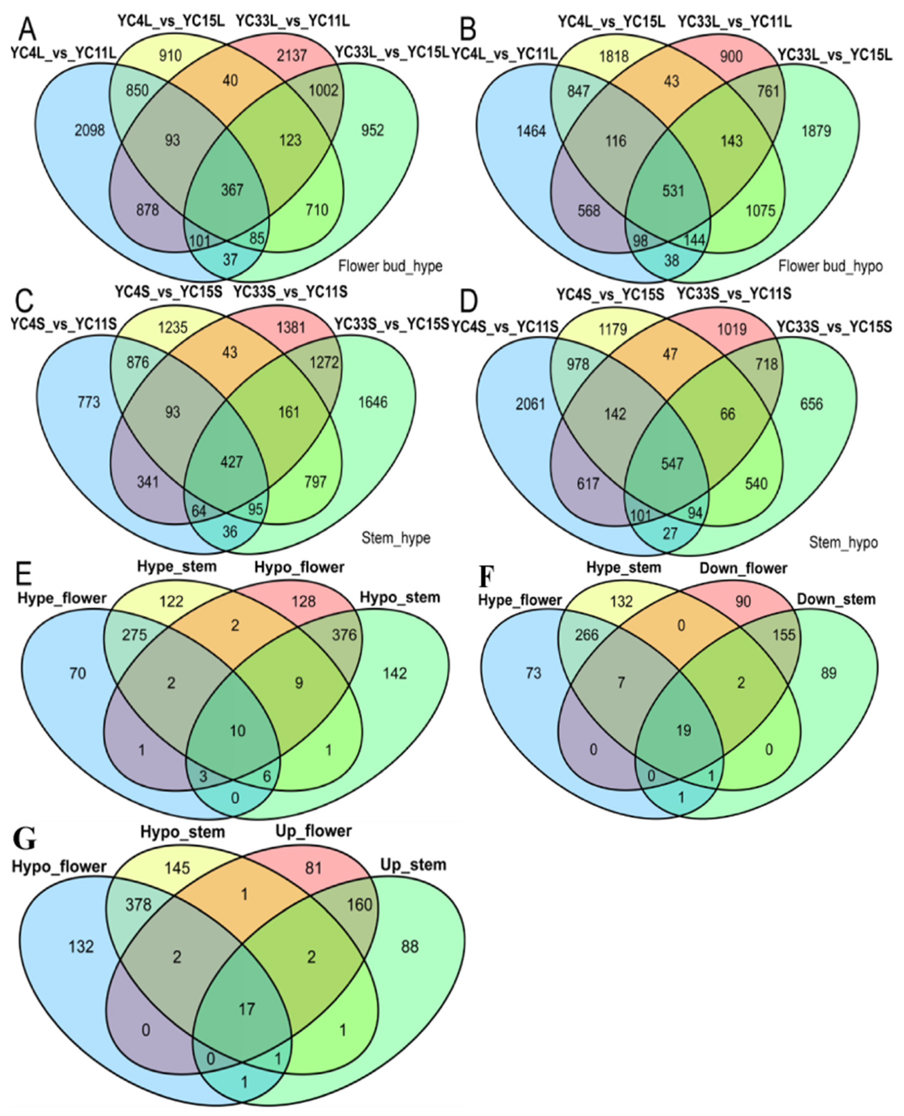 Agronomy 15 00398 g005