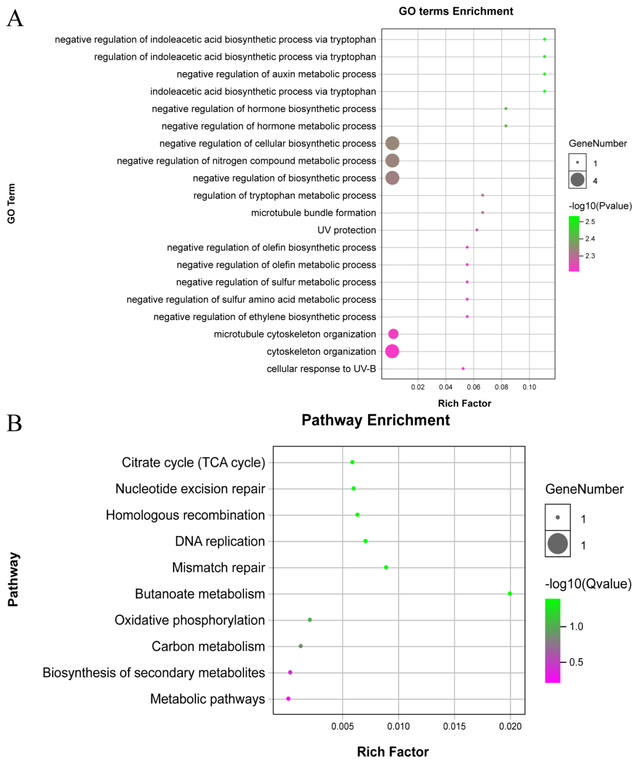 Agronomy 15 00398 g006