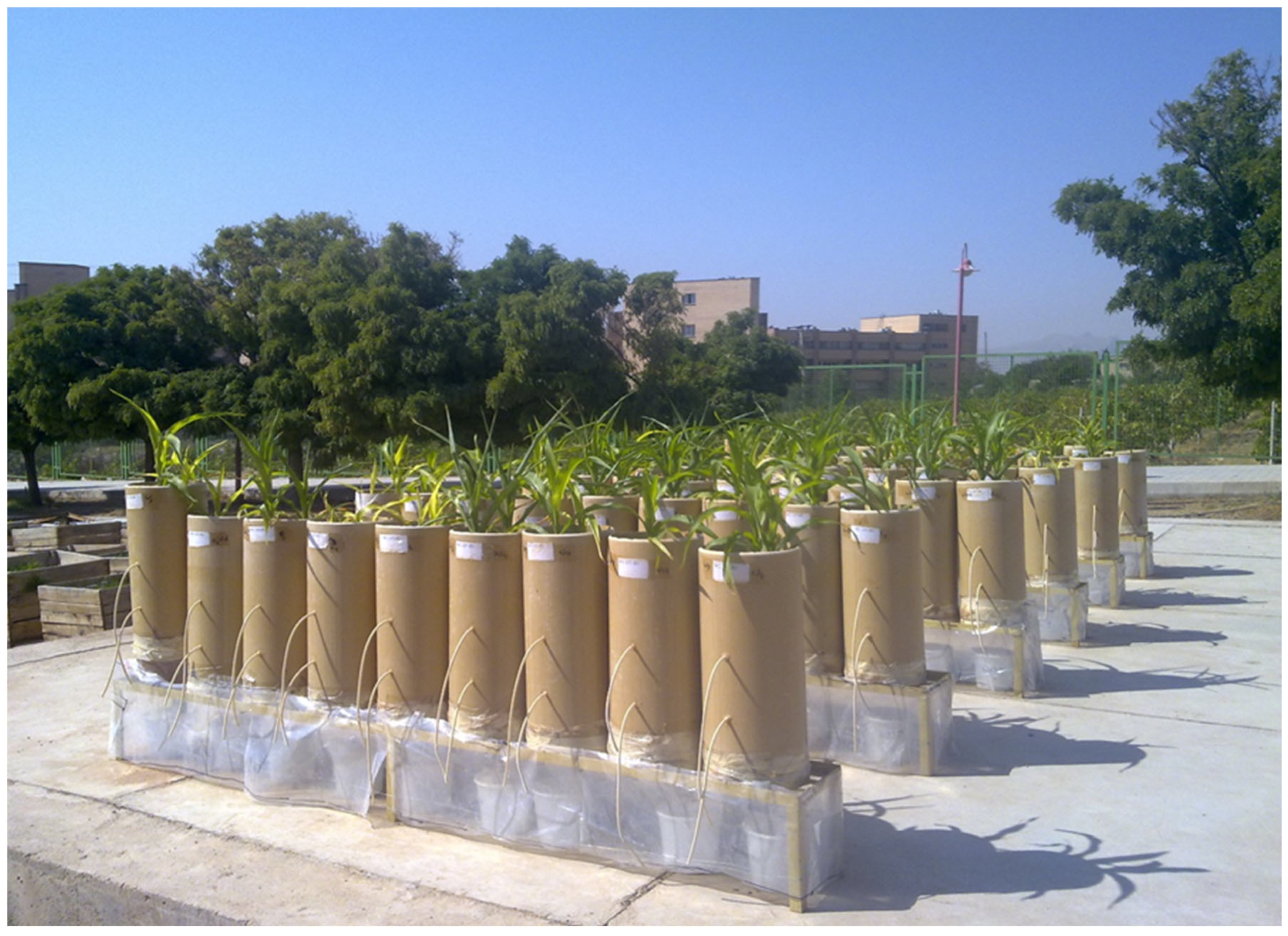 Agronomy 15 00400 g001