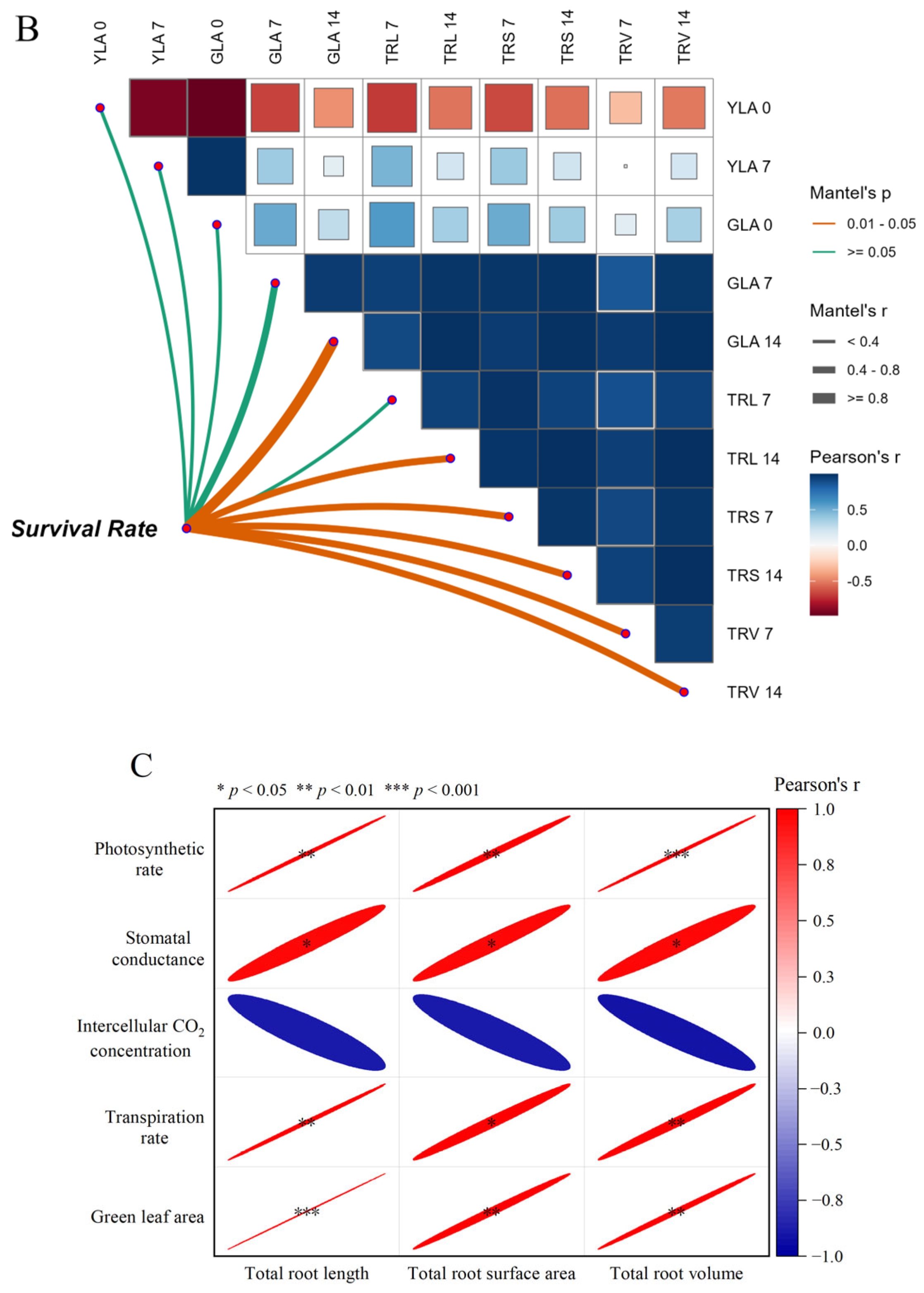Agronomy 15 00402 g007b