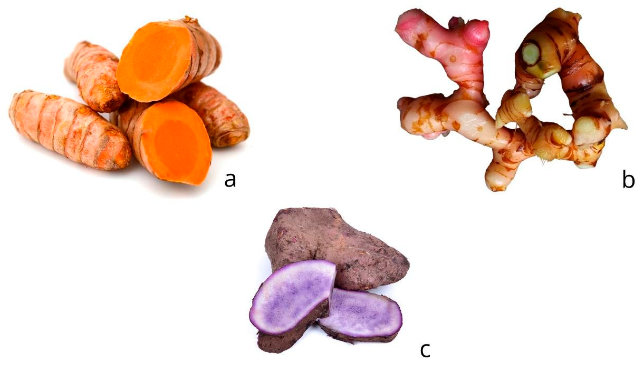 Agronomy 15 00405 g001