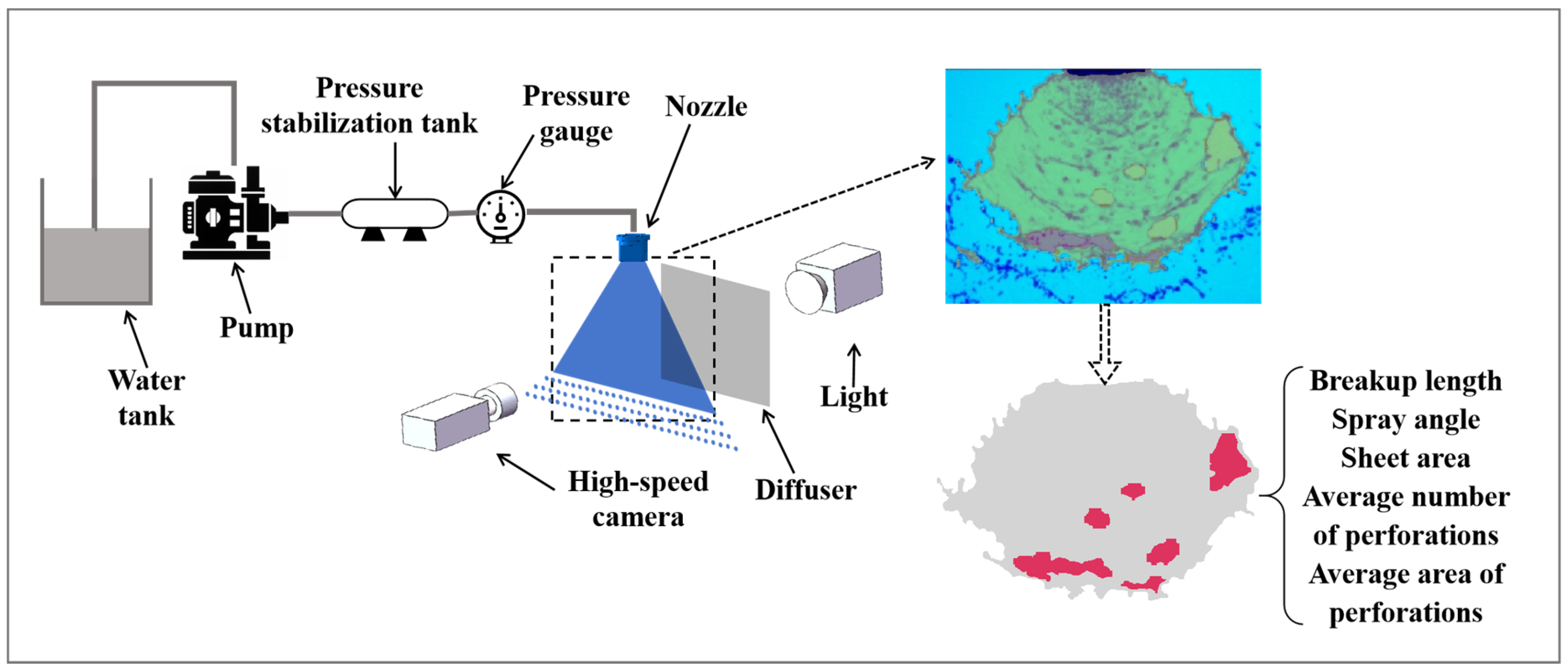 Agronomy 15 00409 g001