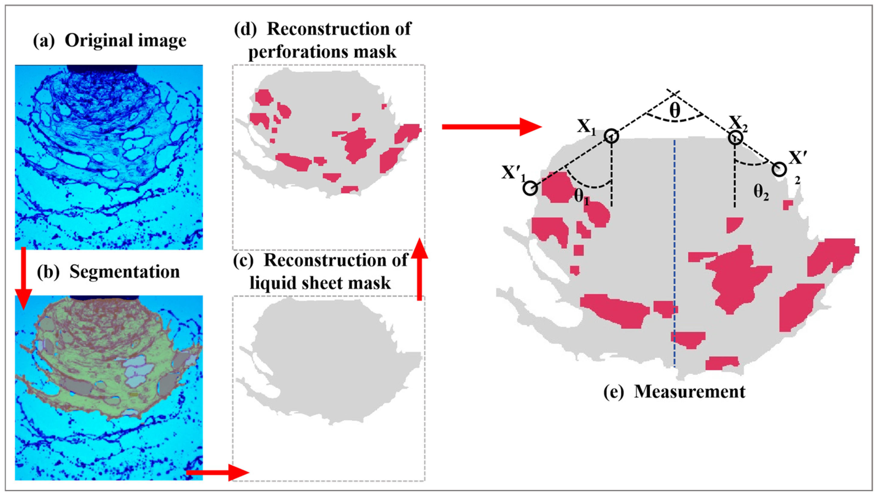 Agronomy 15 00409 g005