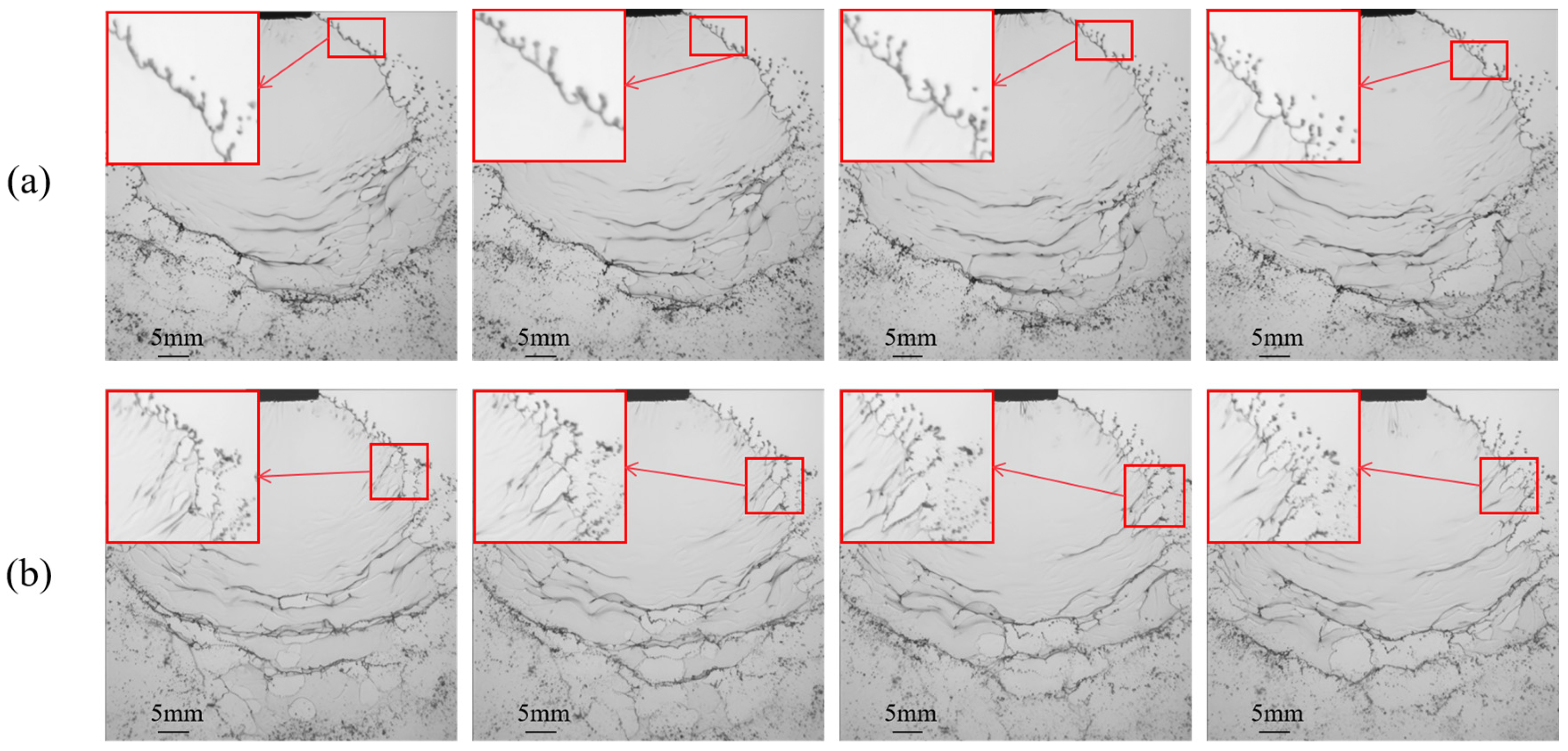 Agronomy 15 00409 g008