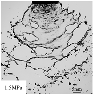 Agronomy 15 00409 i004