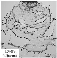 Agronomy 15 00409 i005