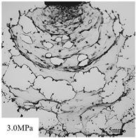 Agronomy 15 00409 i006