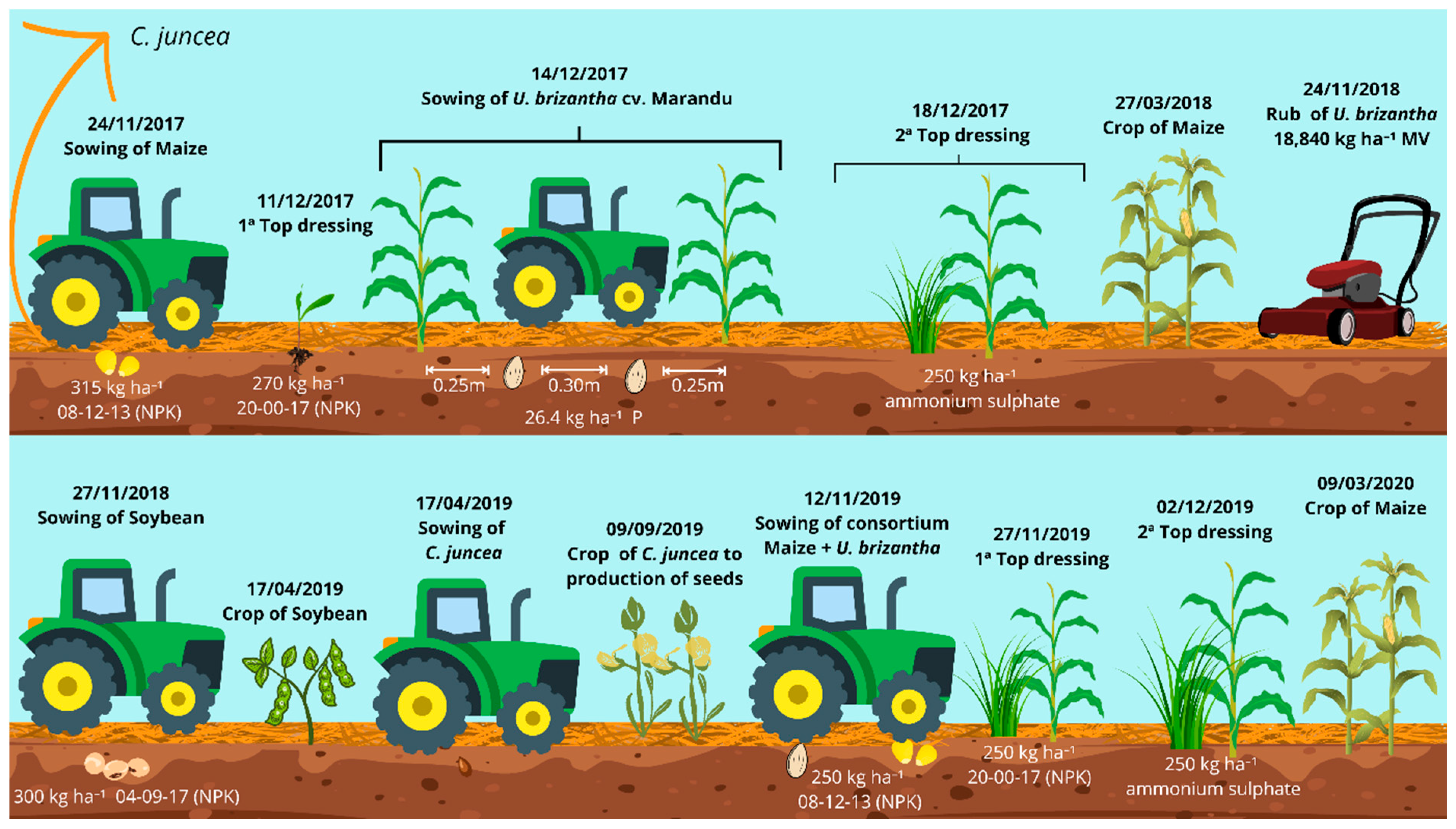 Agronomy 15 00416 g003
