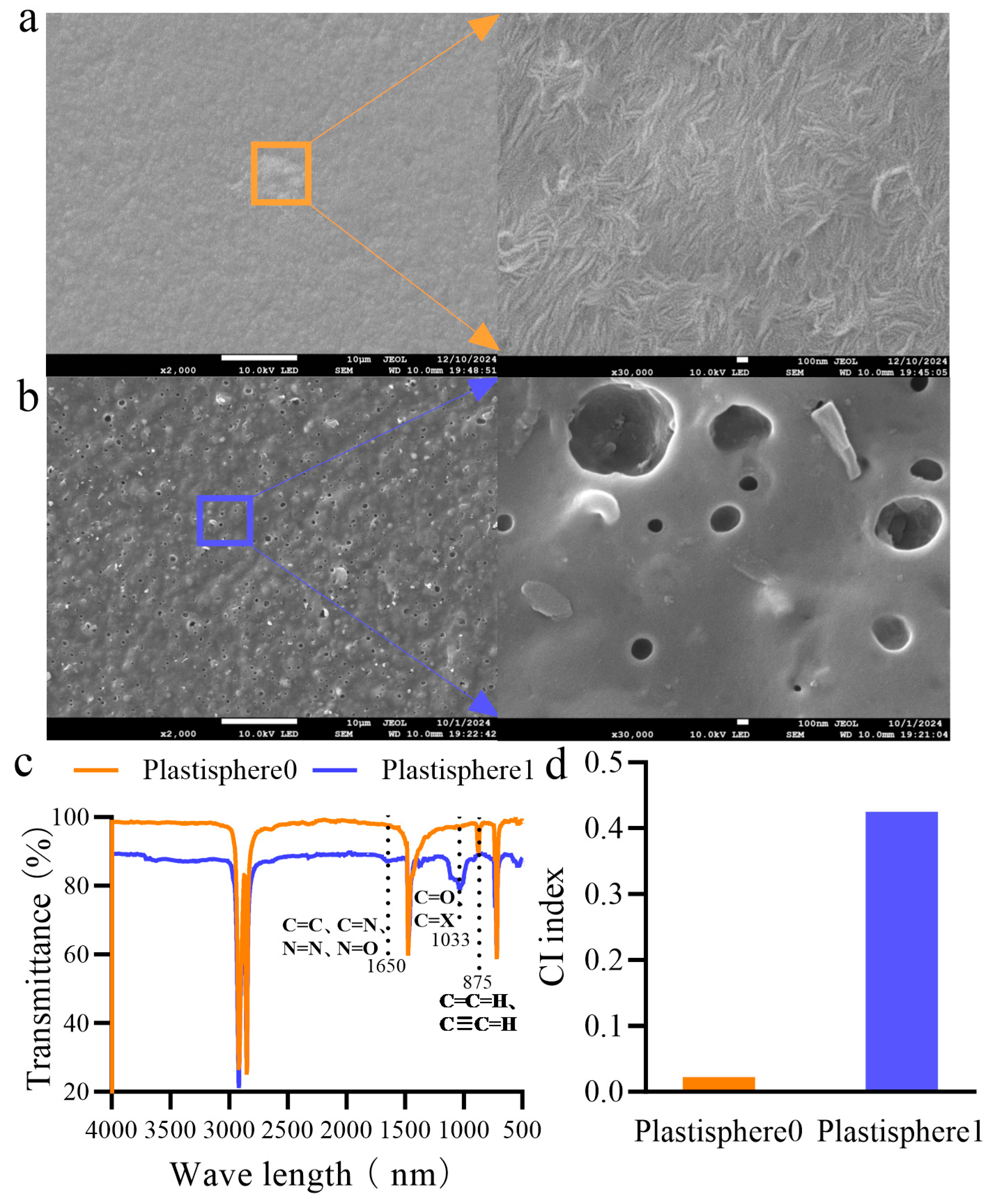 Agronomy 15 00419 g001
