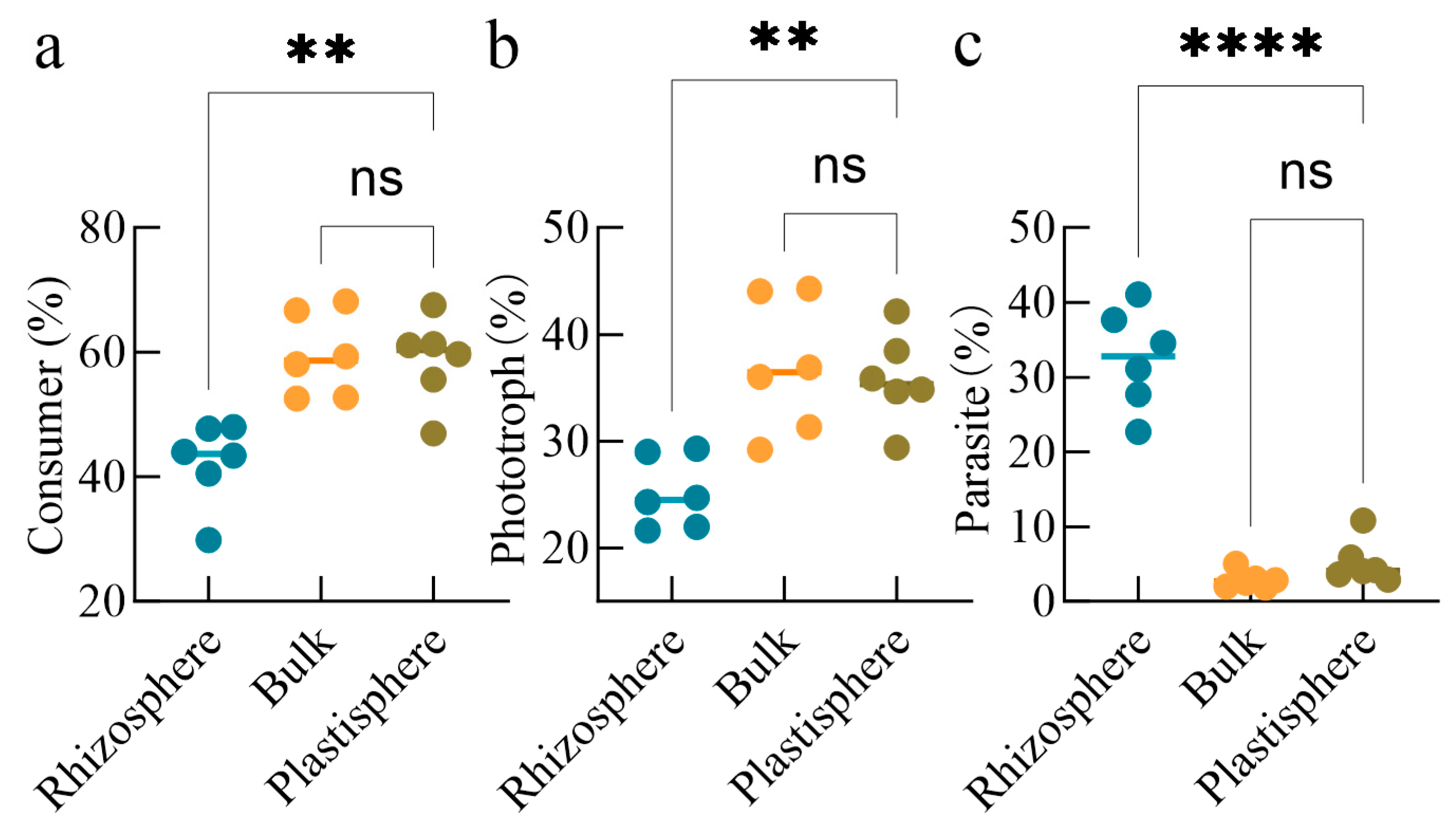 Agronomy 15 00419 g003