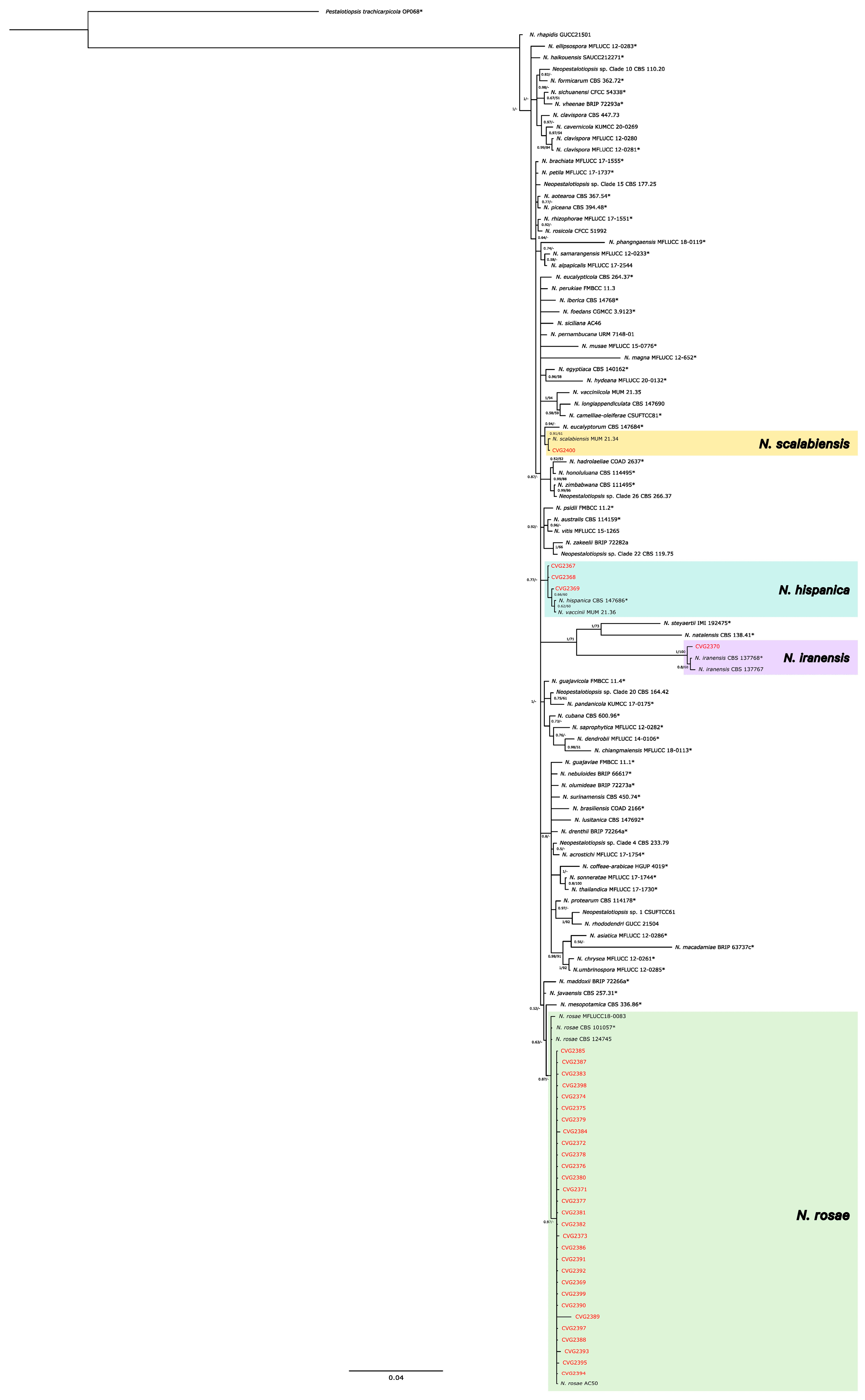Agronomy 15 00422 g002