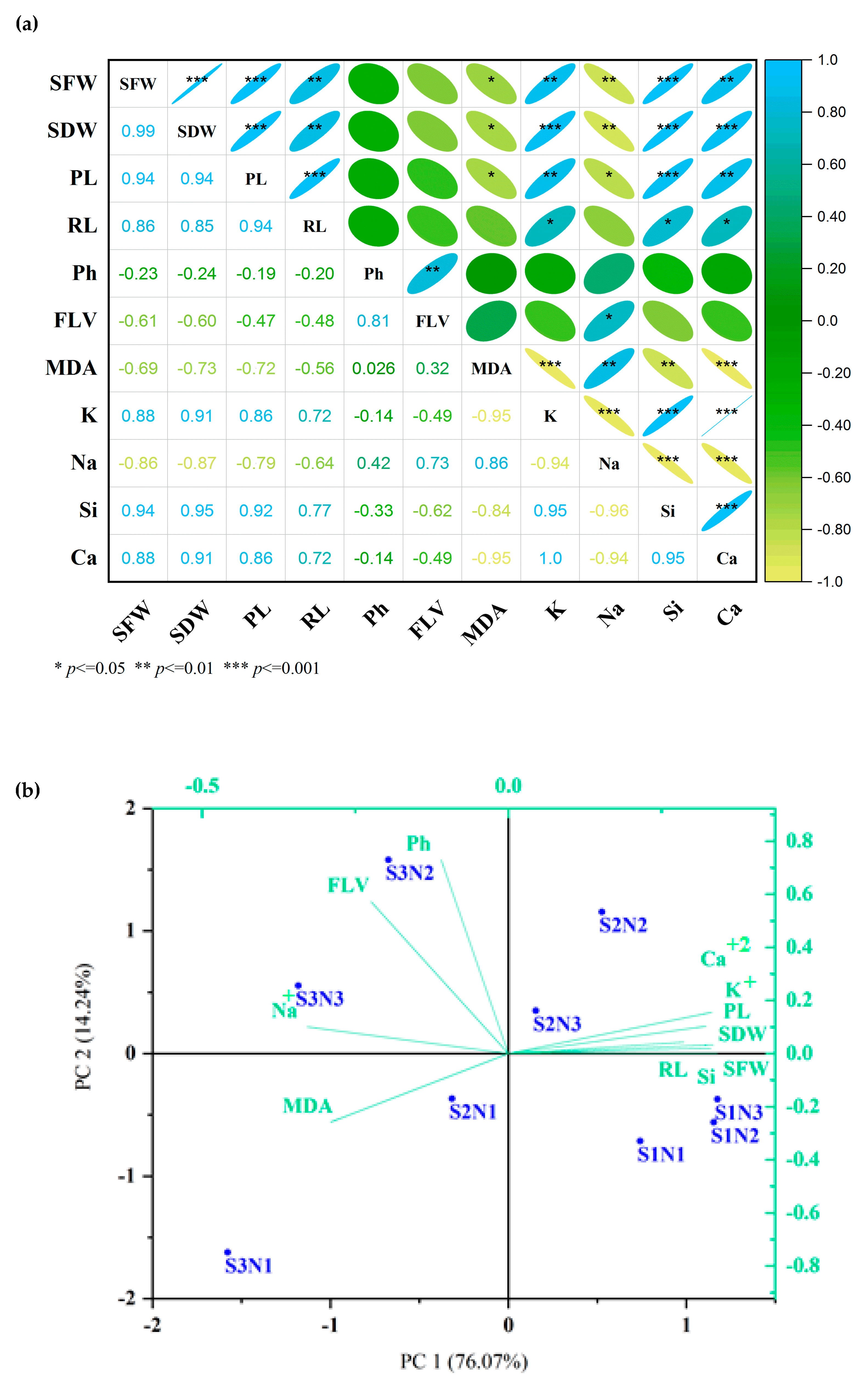 Agronomy 15 00427 g008